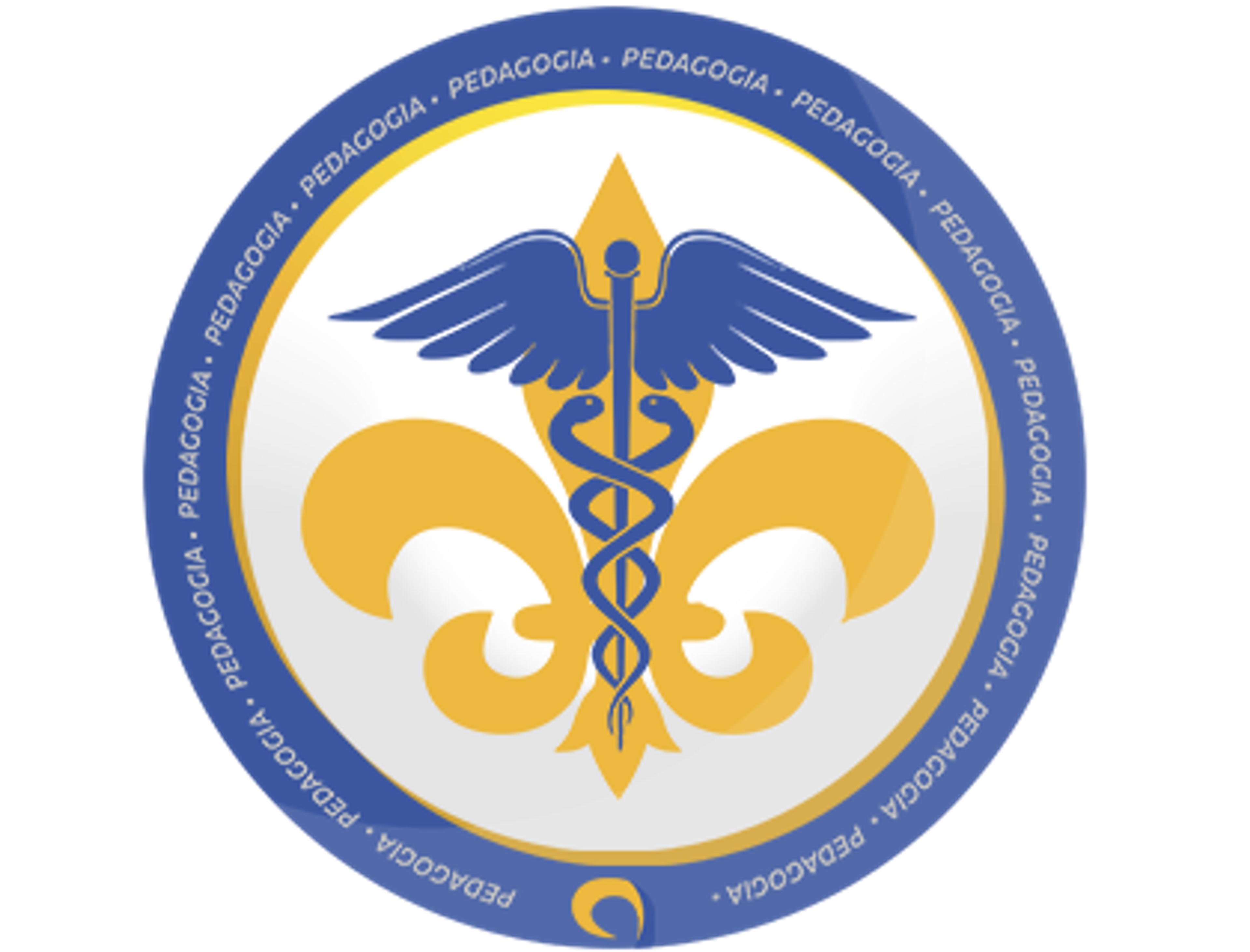 591ff260-e005-46b6-9407-6d4c68a82eed.png