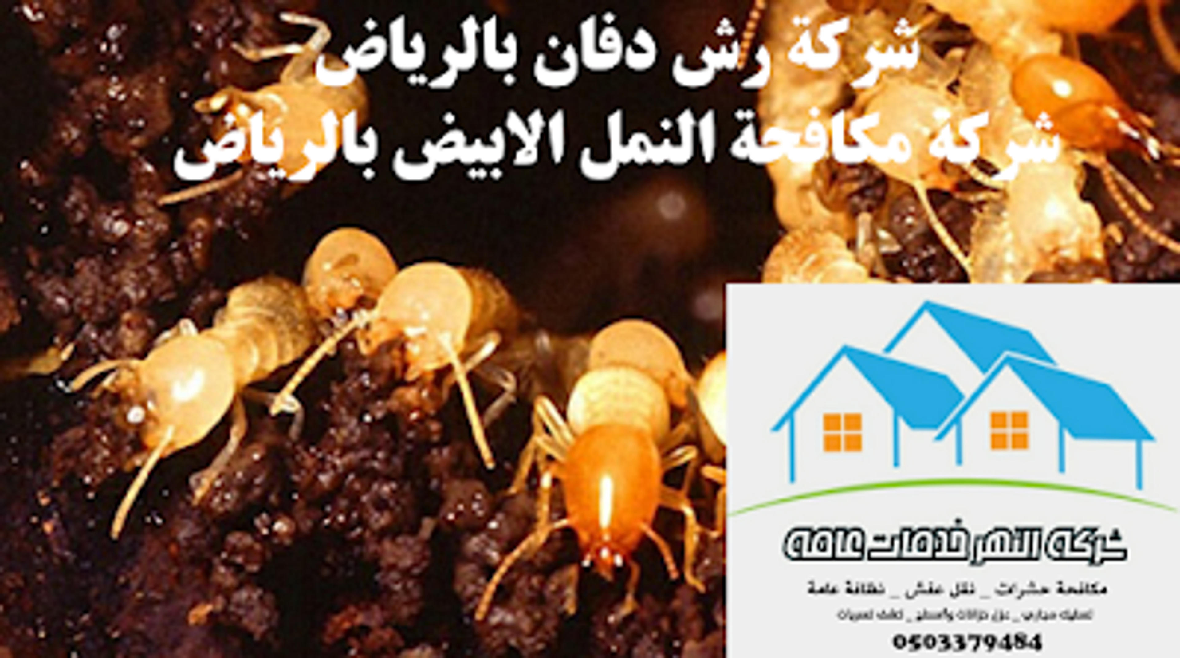 59266e16-7519-4fed-ac00-7e123367a523.png