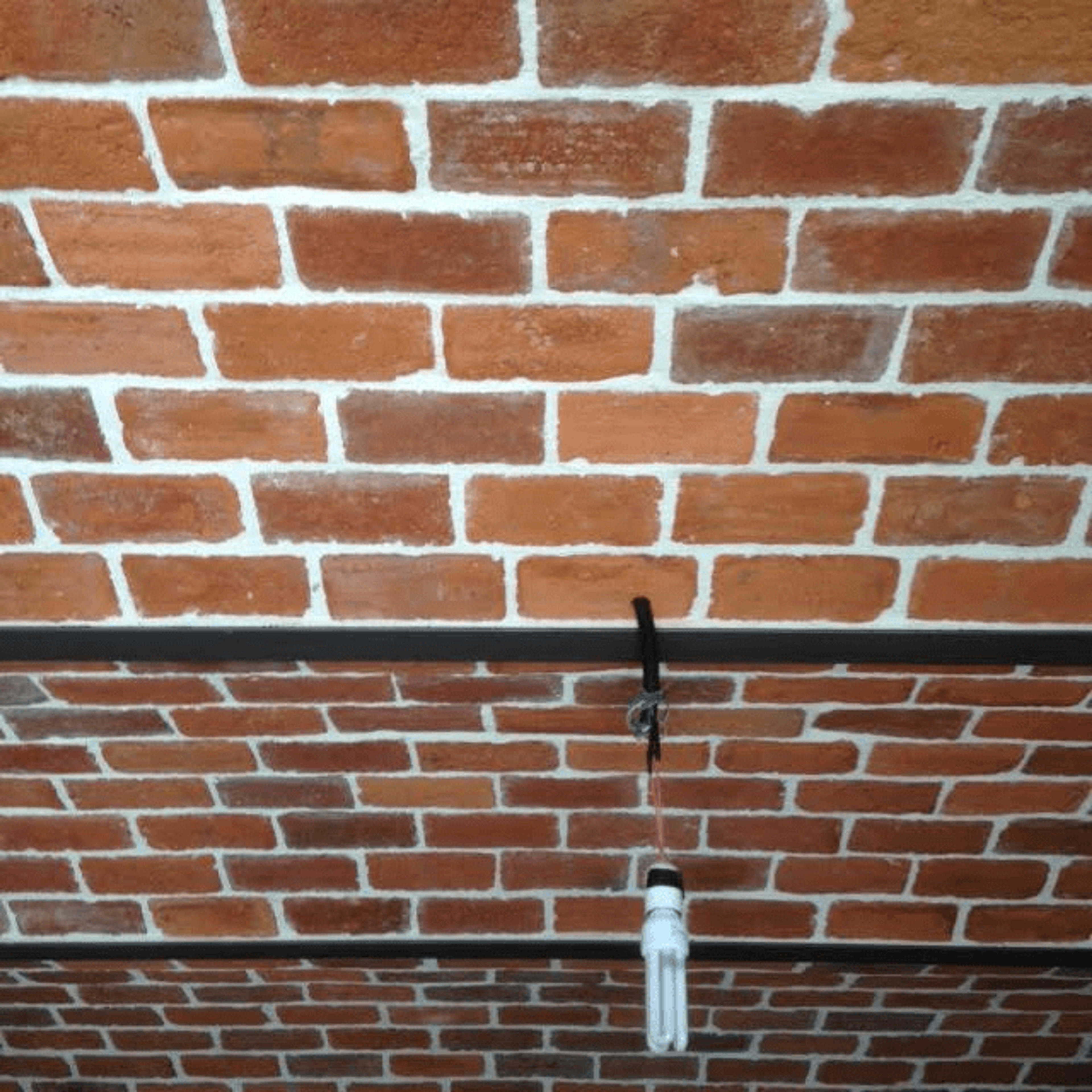 59a9586d-ea2c-46de-9385-b97b9f5864e9.png