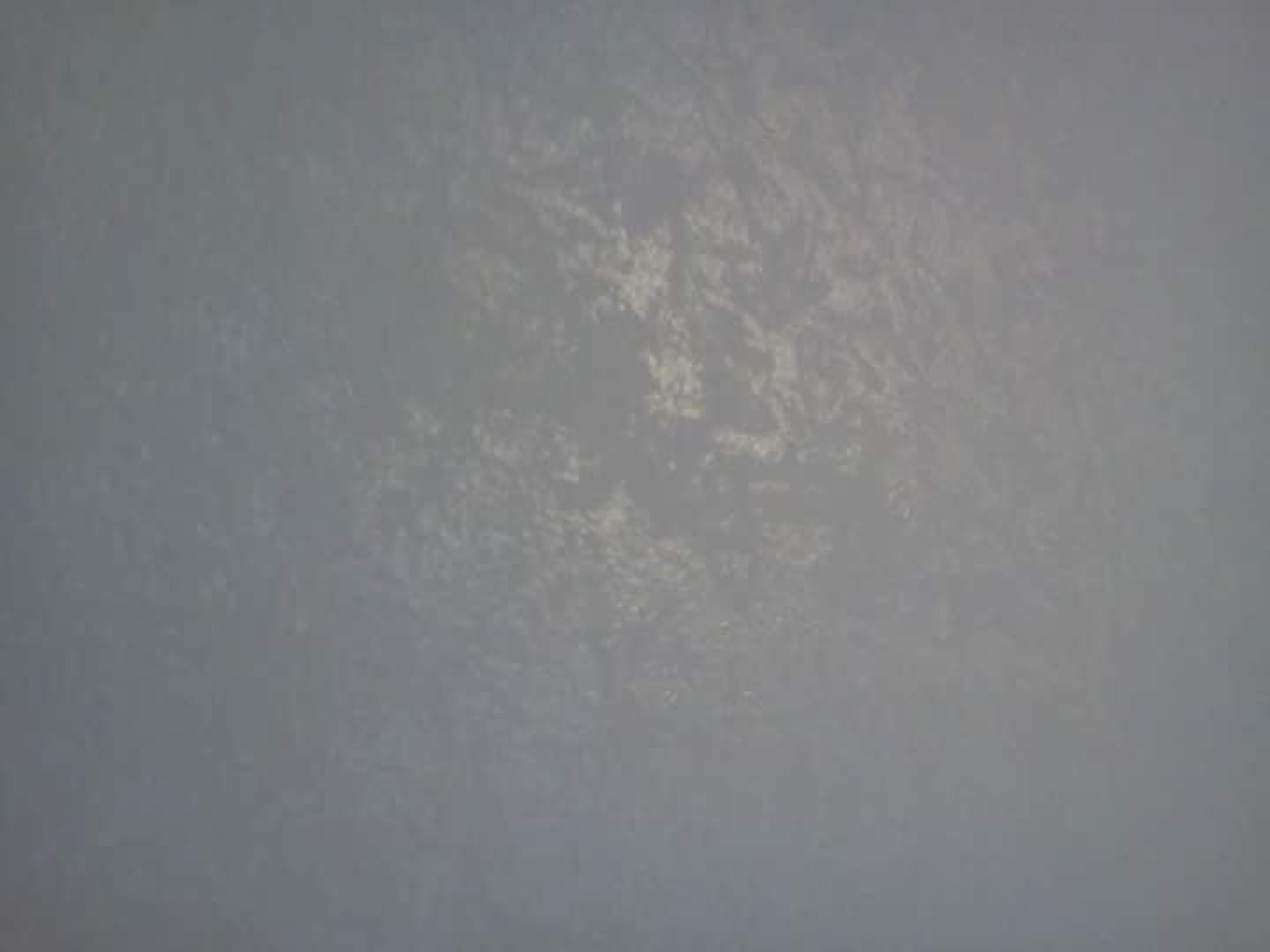 59f4f088-60f0-4818-9848-5c8676730920.jpg