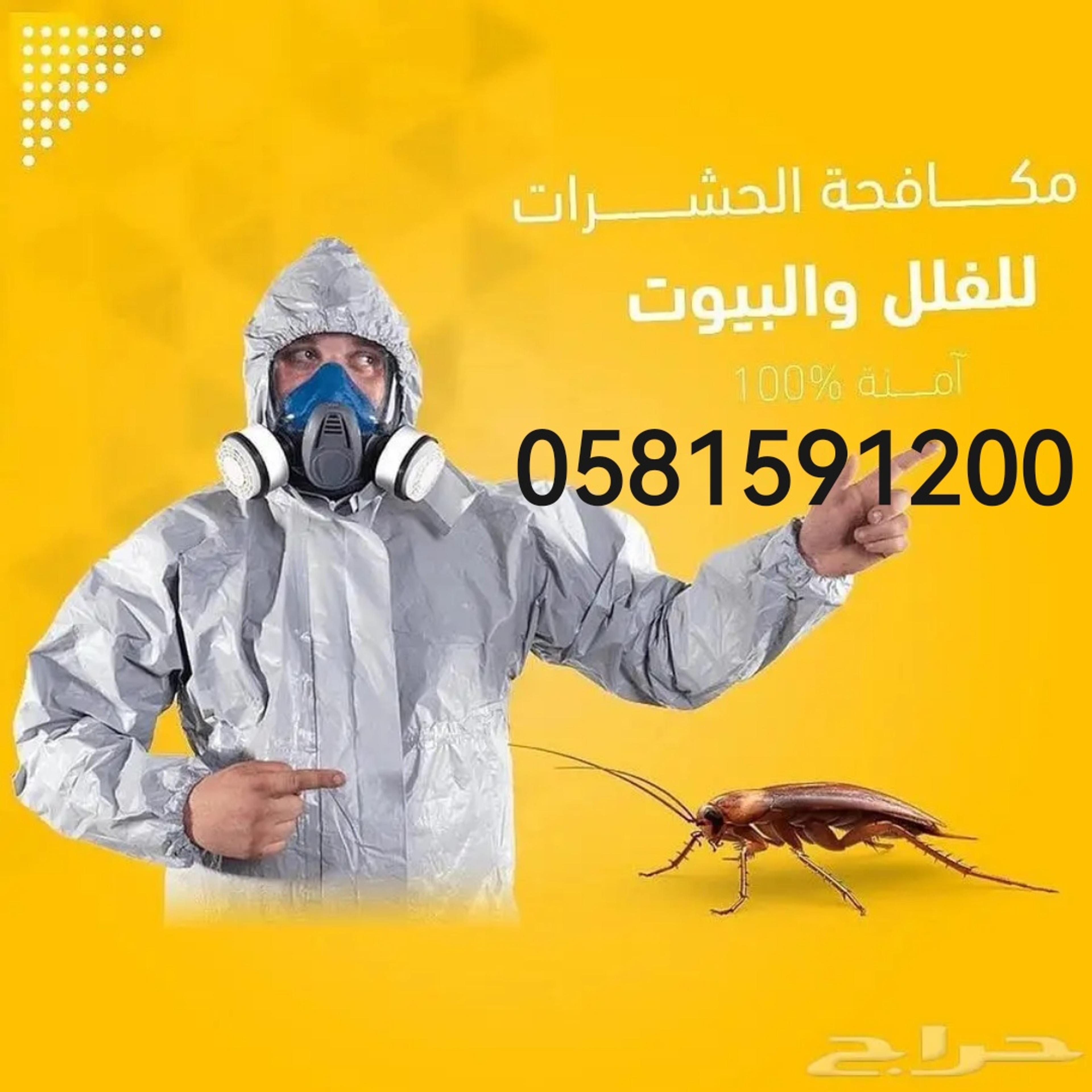 5a89ede1-6d05-46b5-8968-5bac052bcea5.jpeg