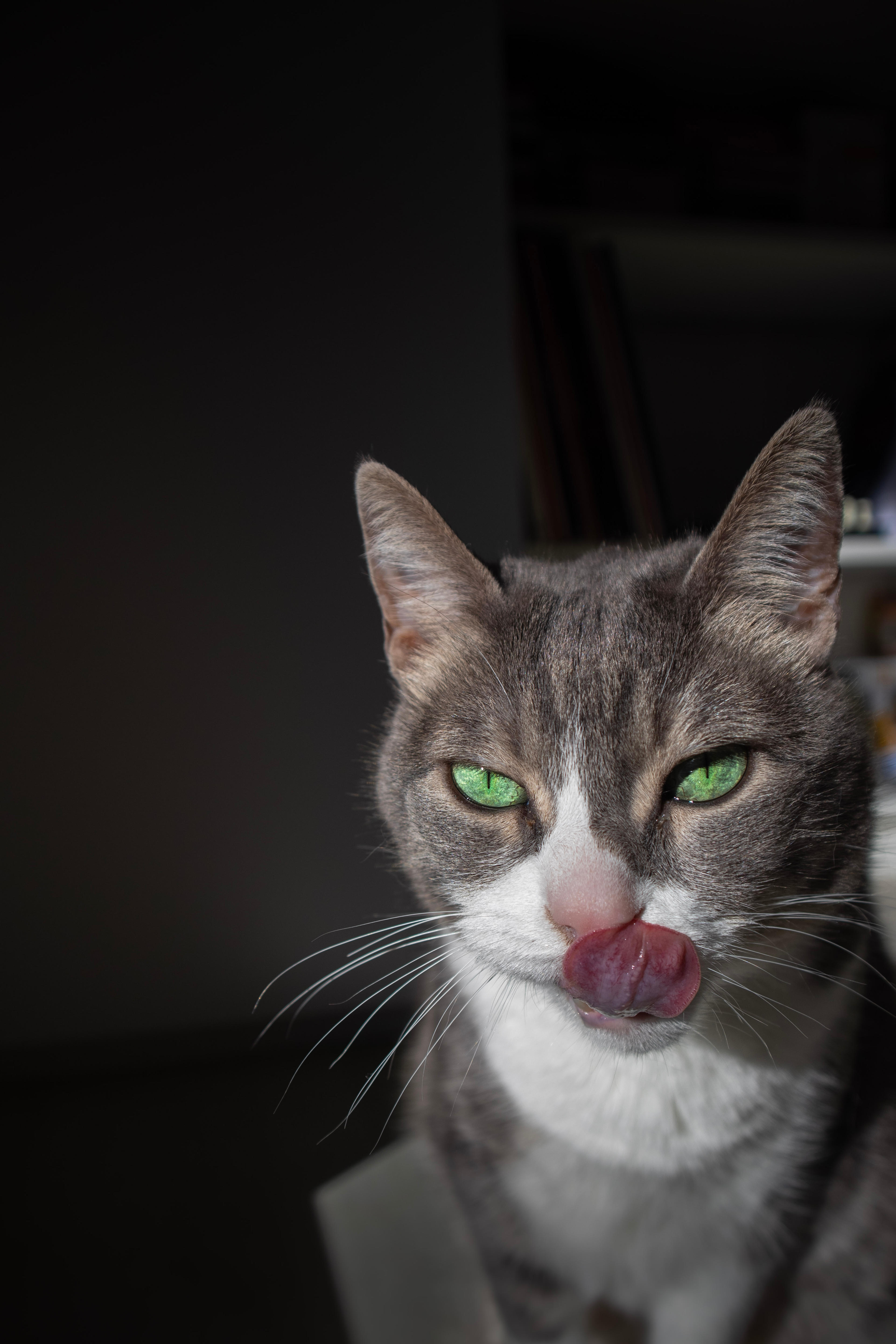 5aa562ac-882b-4c8a-a8b5-e279cdbeb087.jpeg