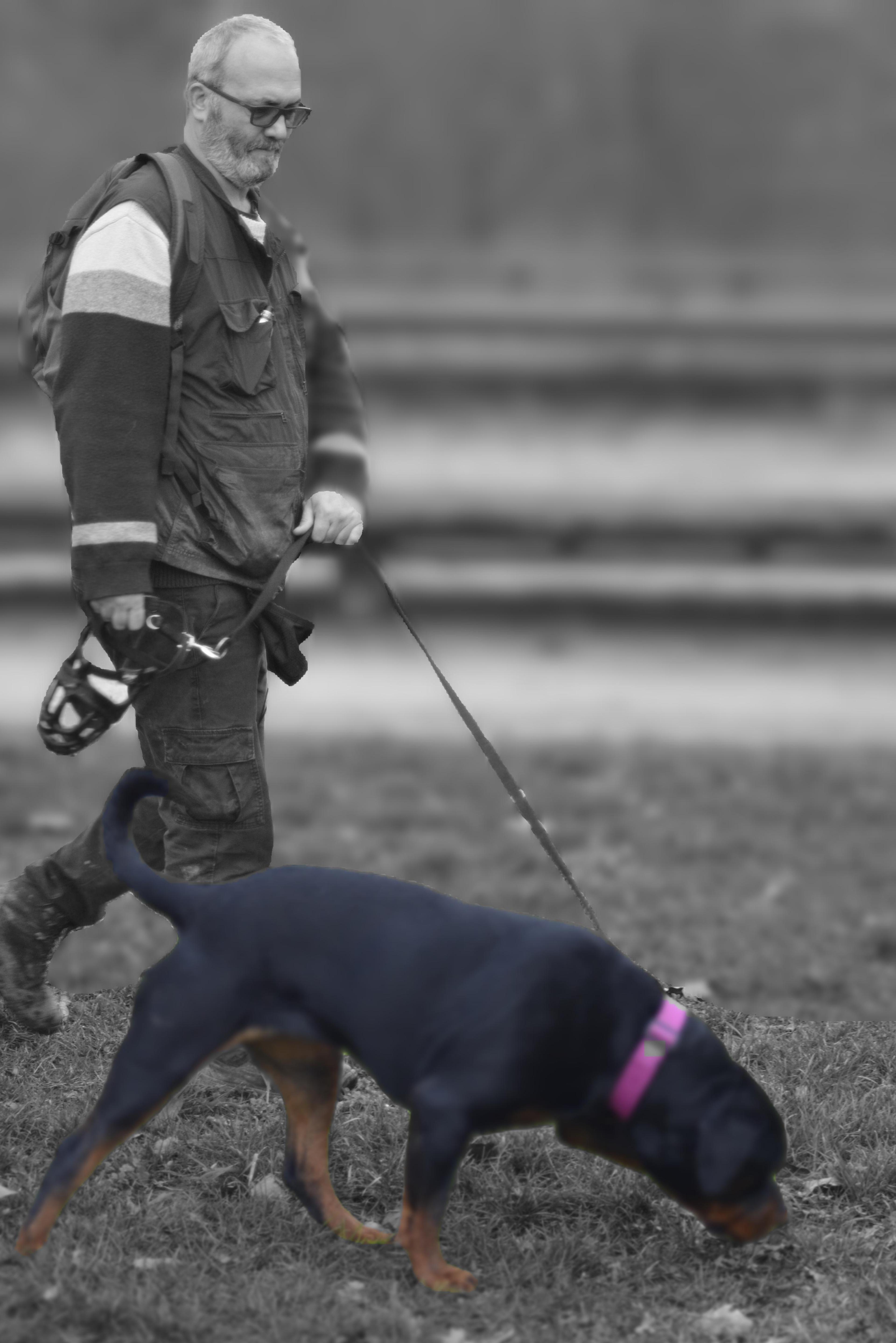 5ab7e7b4-347c-409c-9f7d-a4c39c072455.jpeg