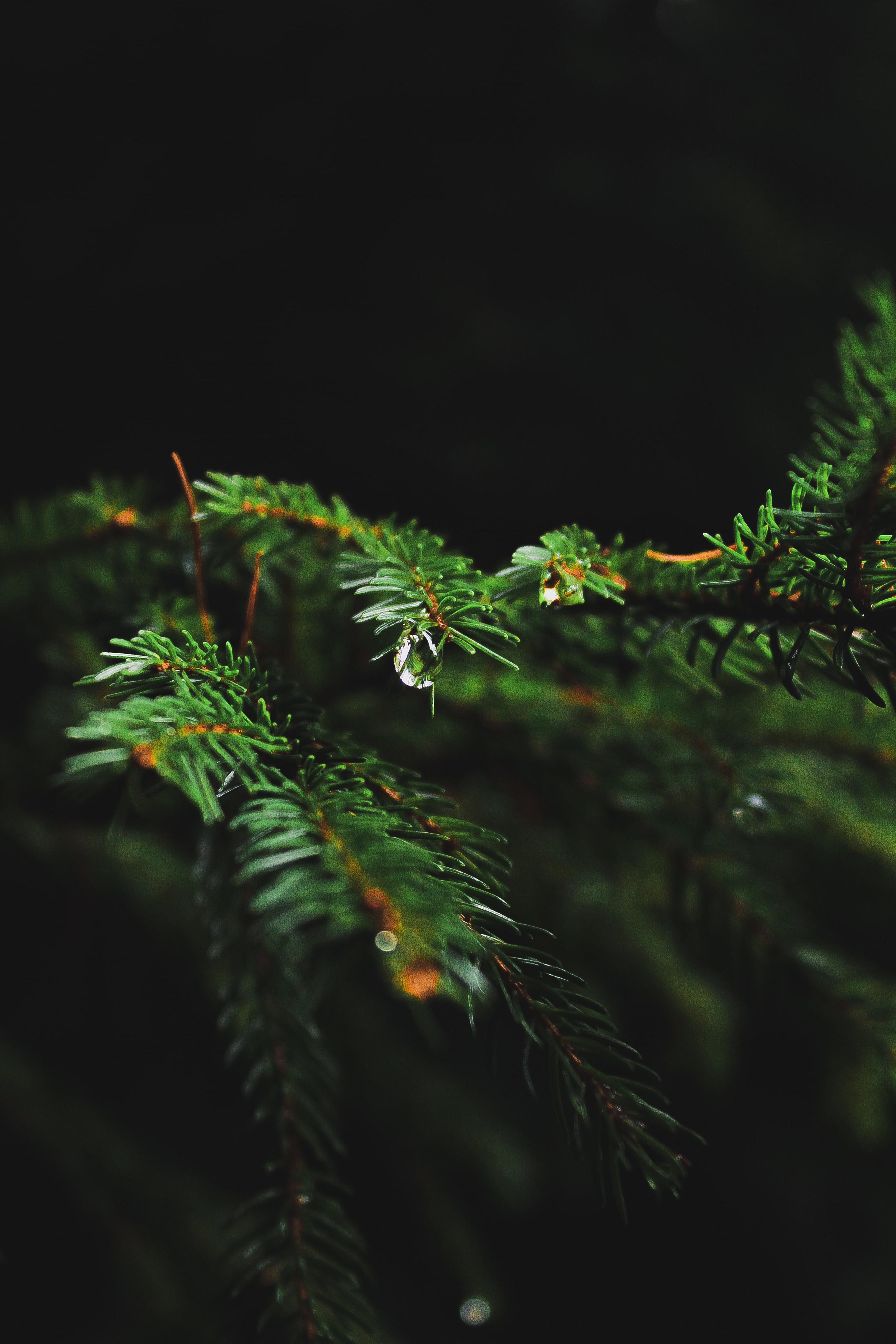 5b5a194c-14b2-4cbc-81d2-383a8b6bdf1f.jpeg