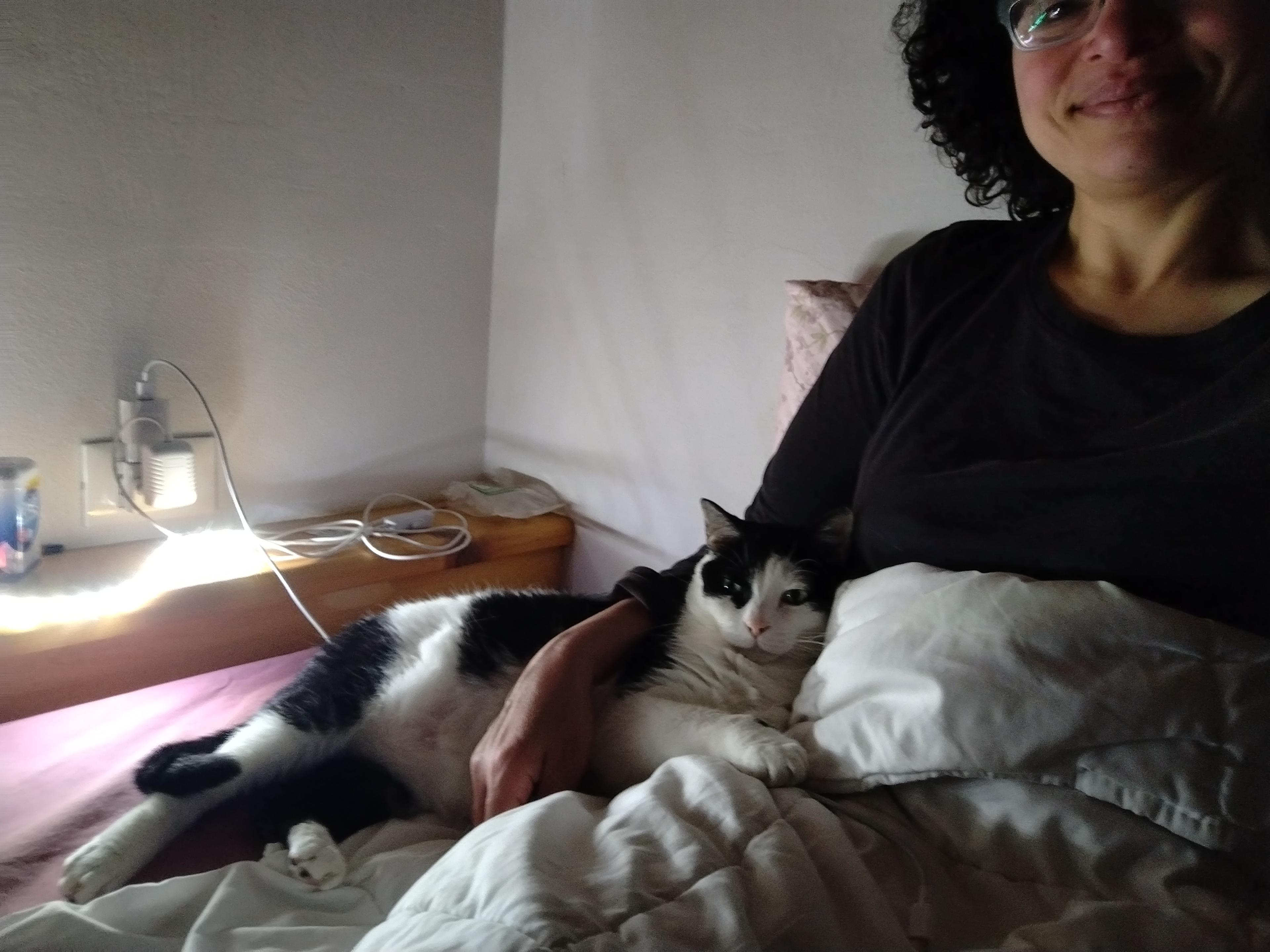 5c57df0f-c260-4d7b-93bf-48fe71a2d95c.jpeg