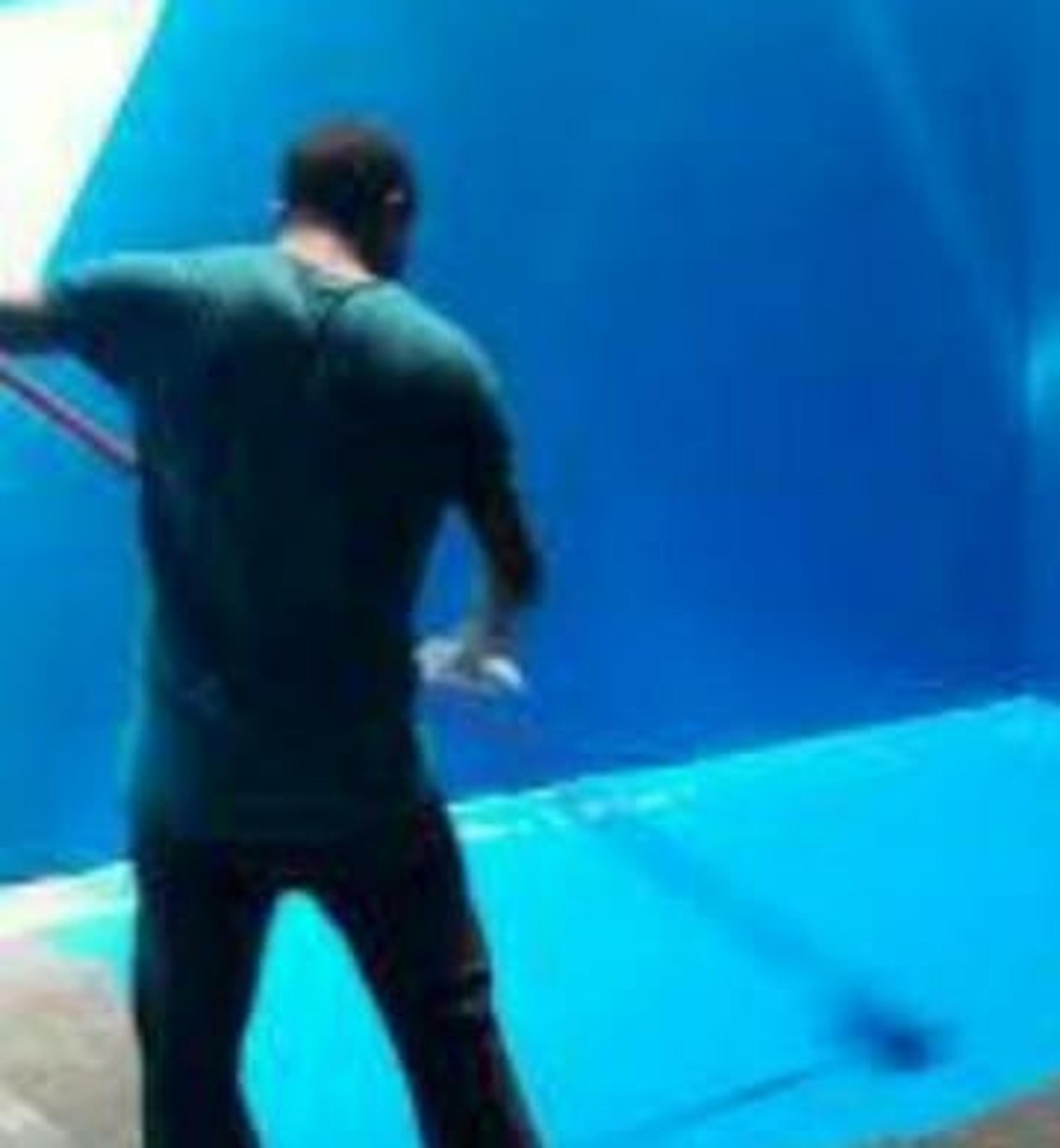5c6ce0d3-bb14-47df-868e-24ae04575214.jpeg