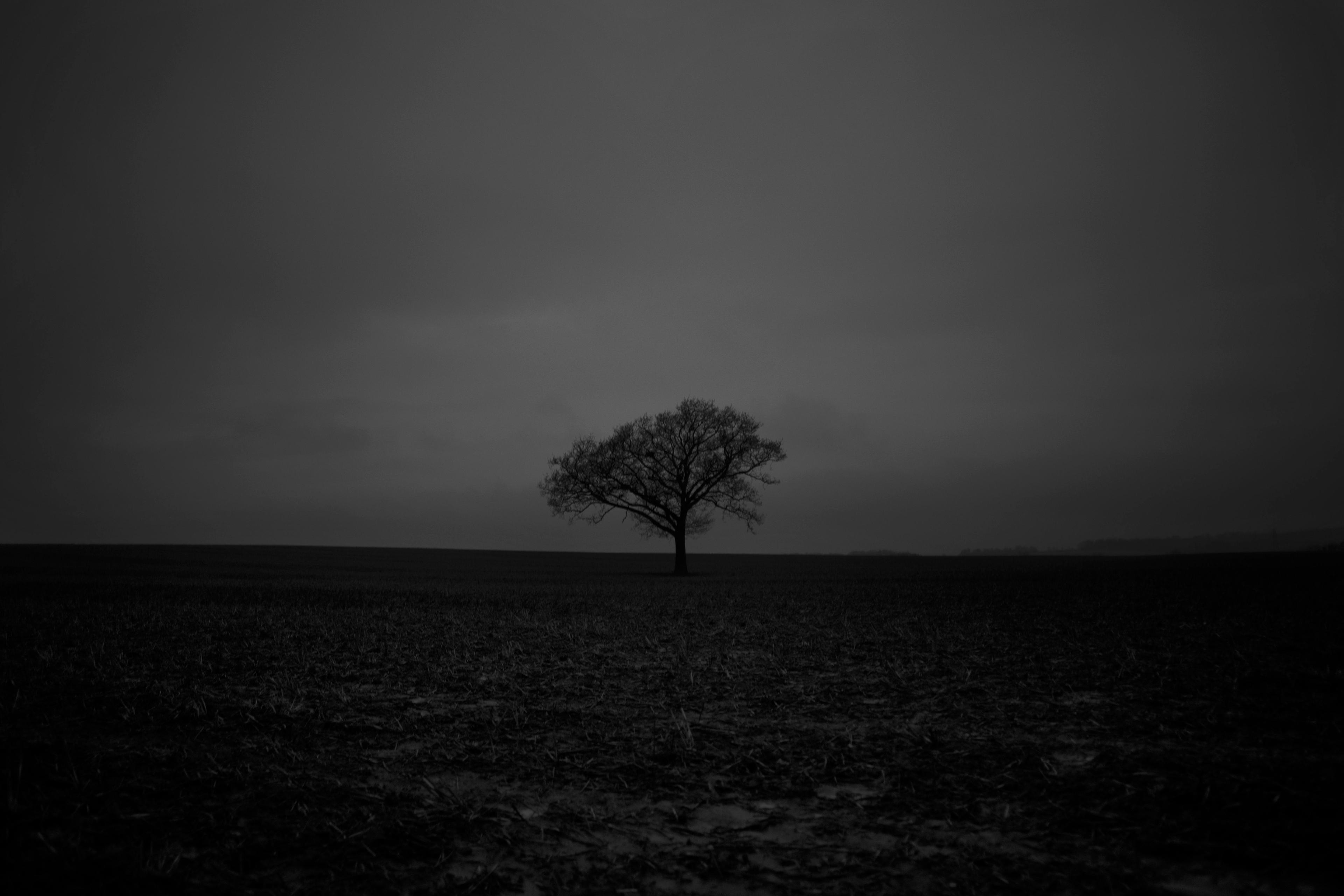 5cc28626-7baf-43a3-a9b0-07aef3929548.jpeg