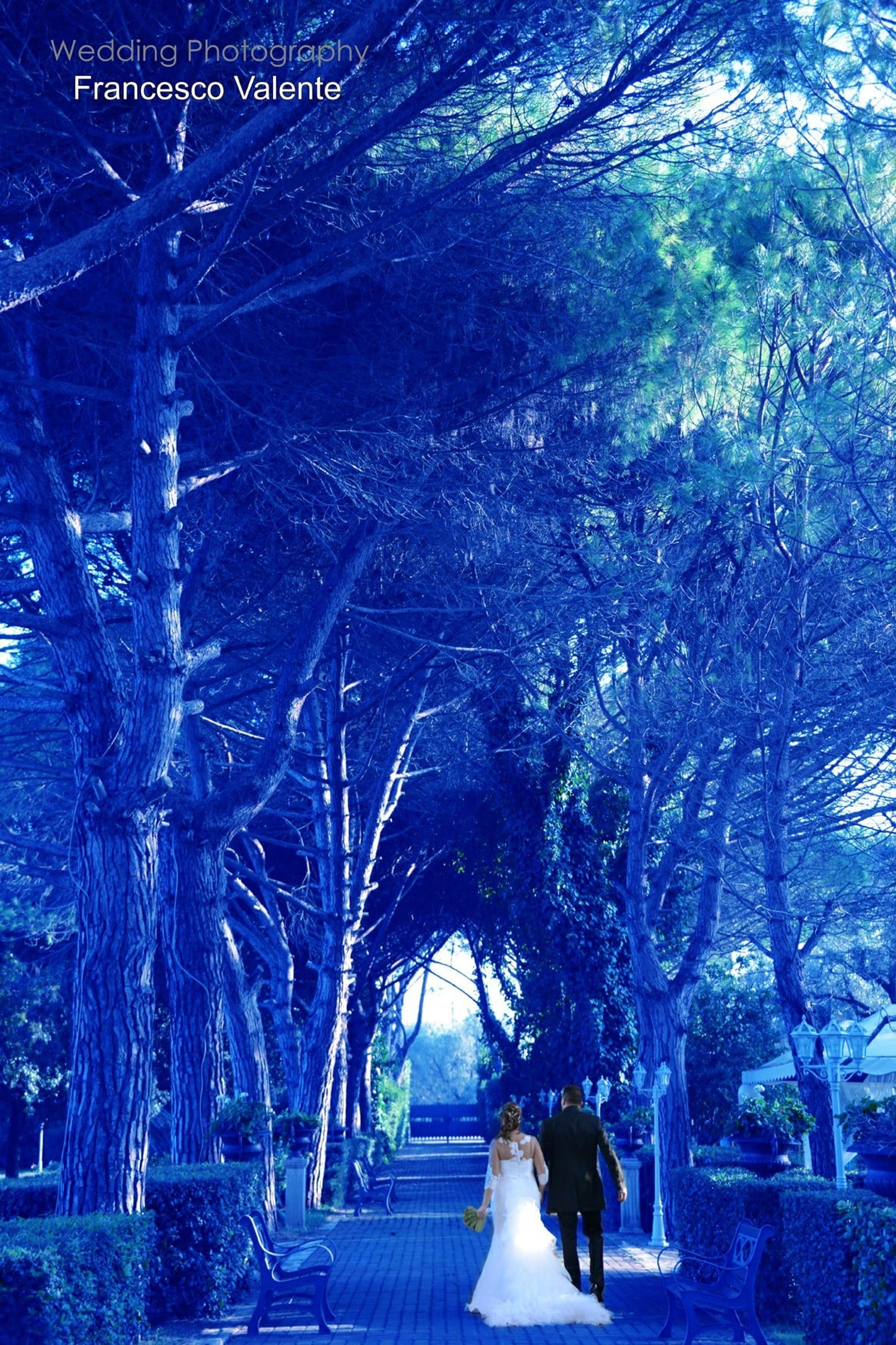 5d226af1-bc36-4fa8-a20a-501ffa3b7605.jpeg