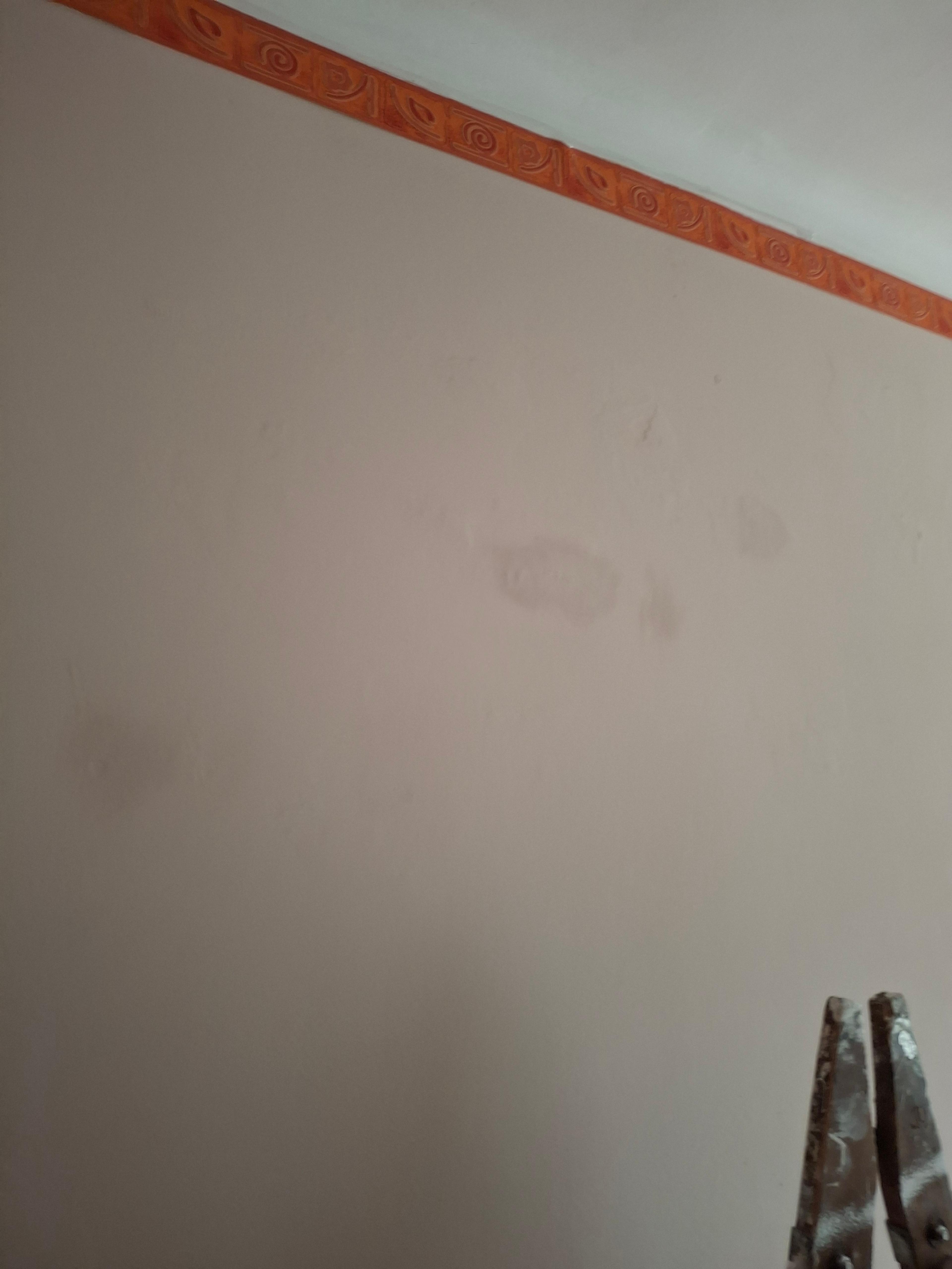 5d602622-8e98-4c61-9b42-de5e3576da98.jpeg