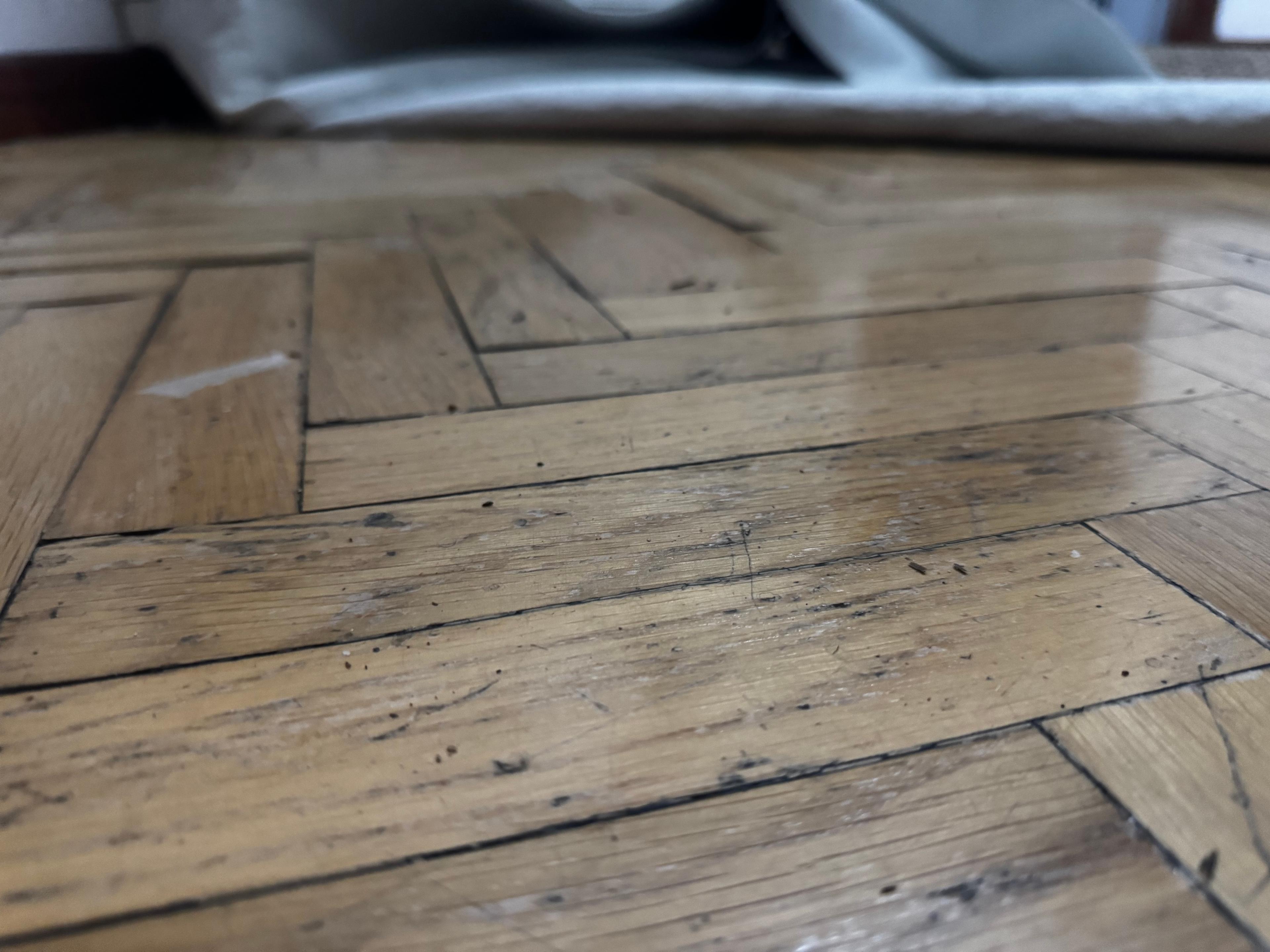 5e0e2147-f21d-42c5-b1b0-4607cf126635.jpeg