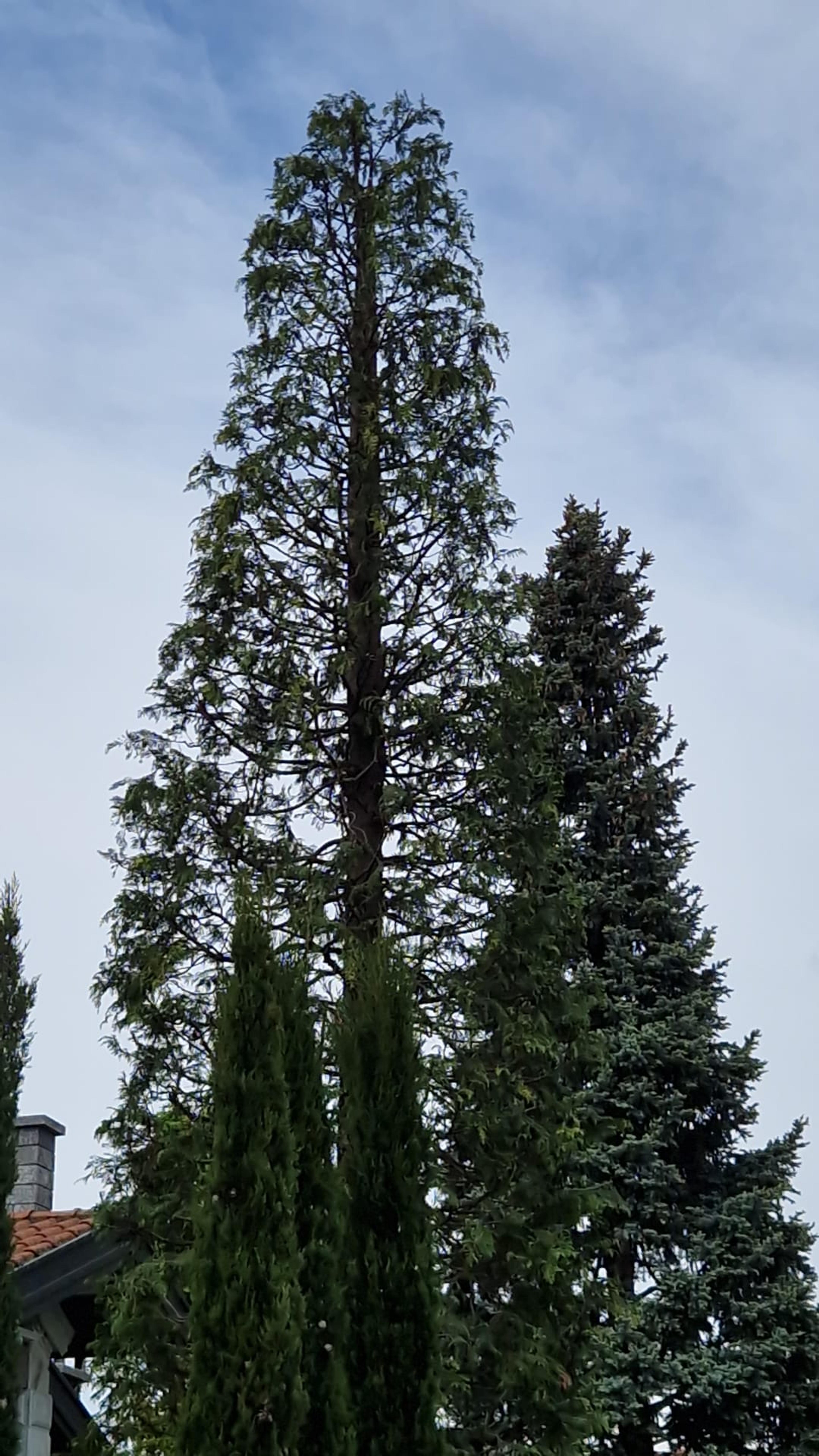 5e1182d6-df71-4b53-8ed3-d5f945216e5e.jpeg