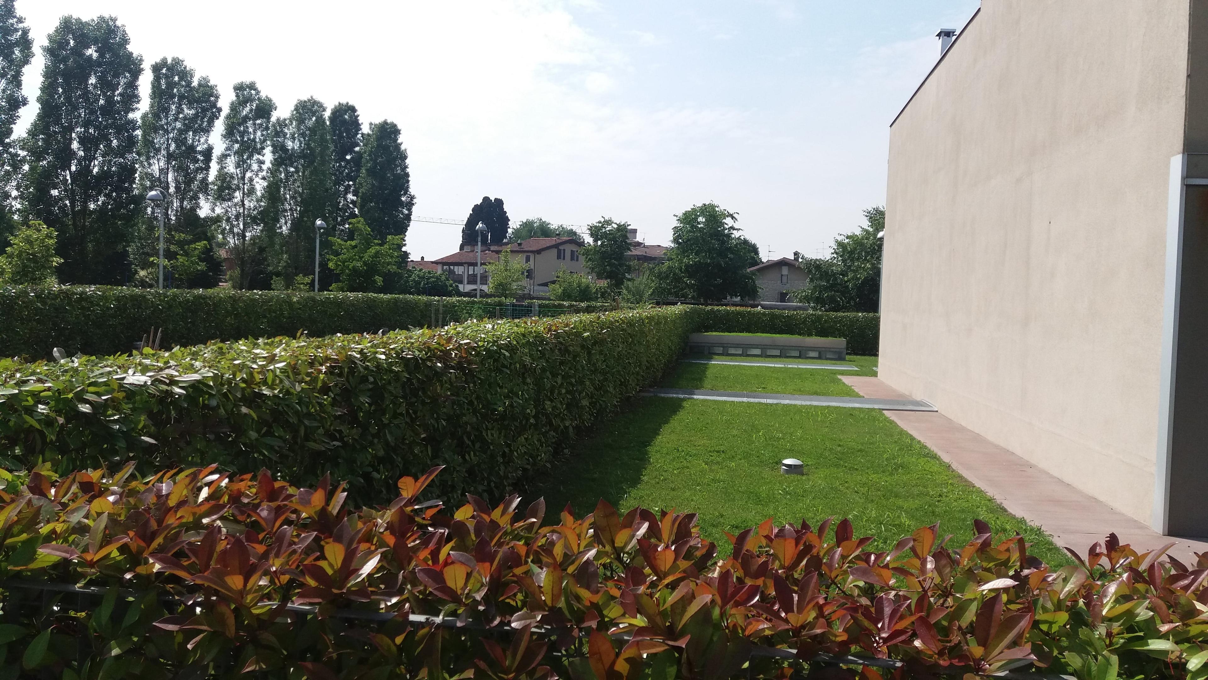 5e3668b8-3a26-458f-a581-9947de52ccc6.jpeg