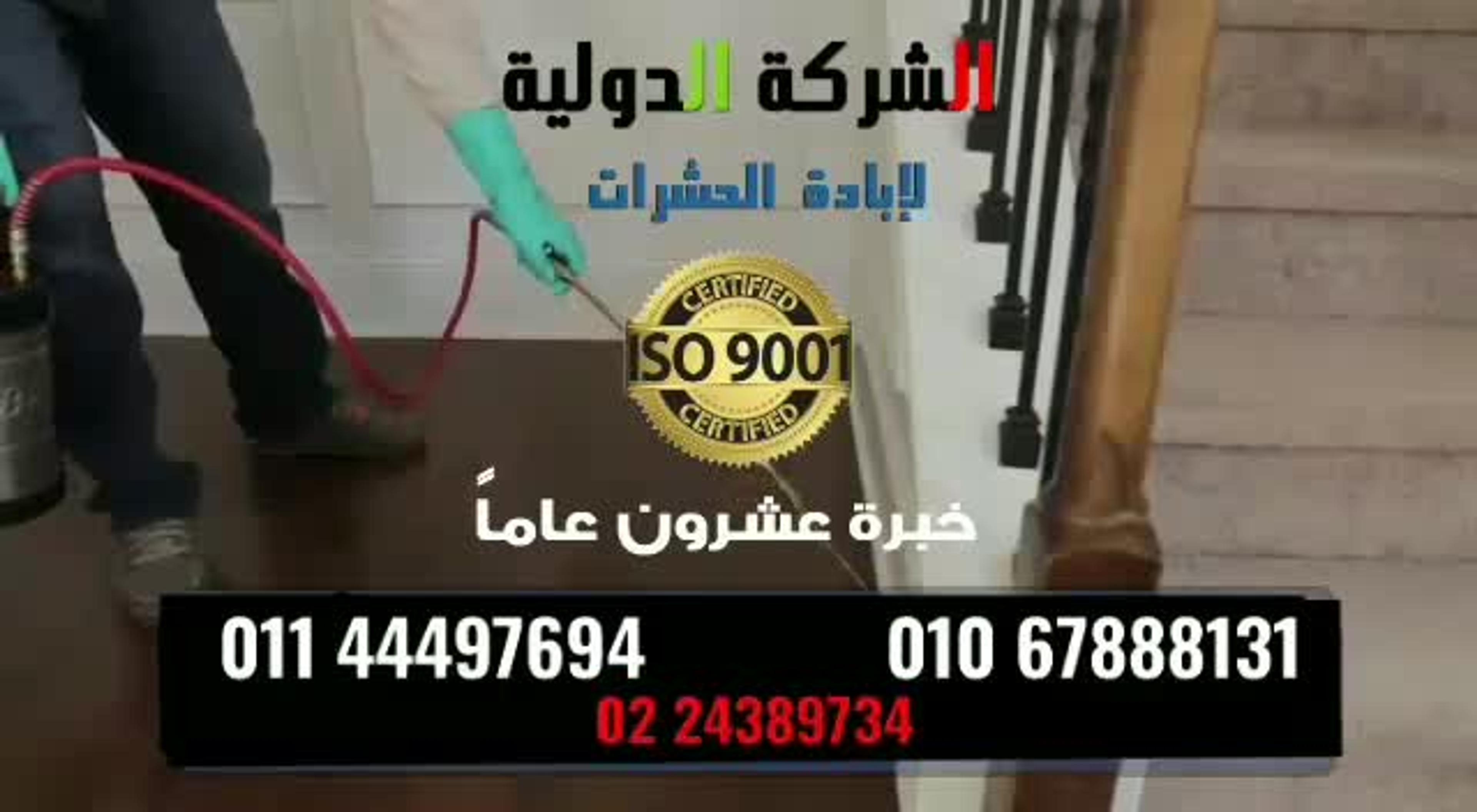 5e3bf7ab-0042-41de-a01d-9980ea03ec80.jpeg