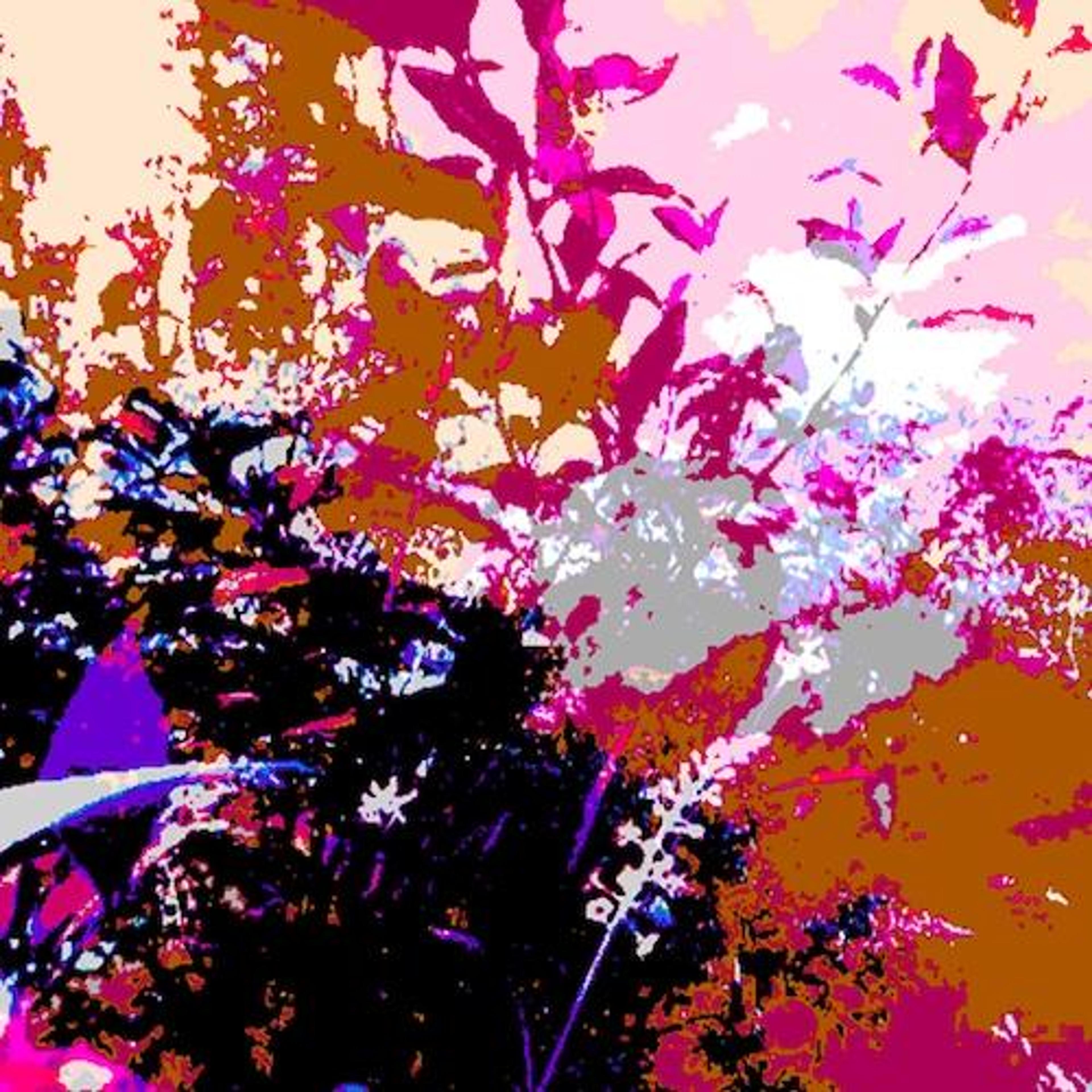 5e40d2a2-8680-4095-949a-de40125aacf3.jpeg