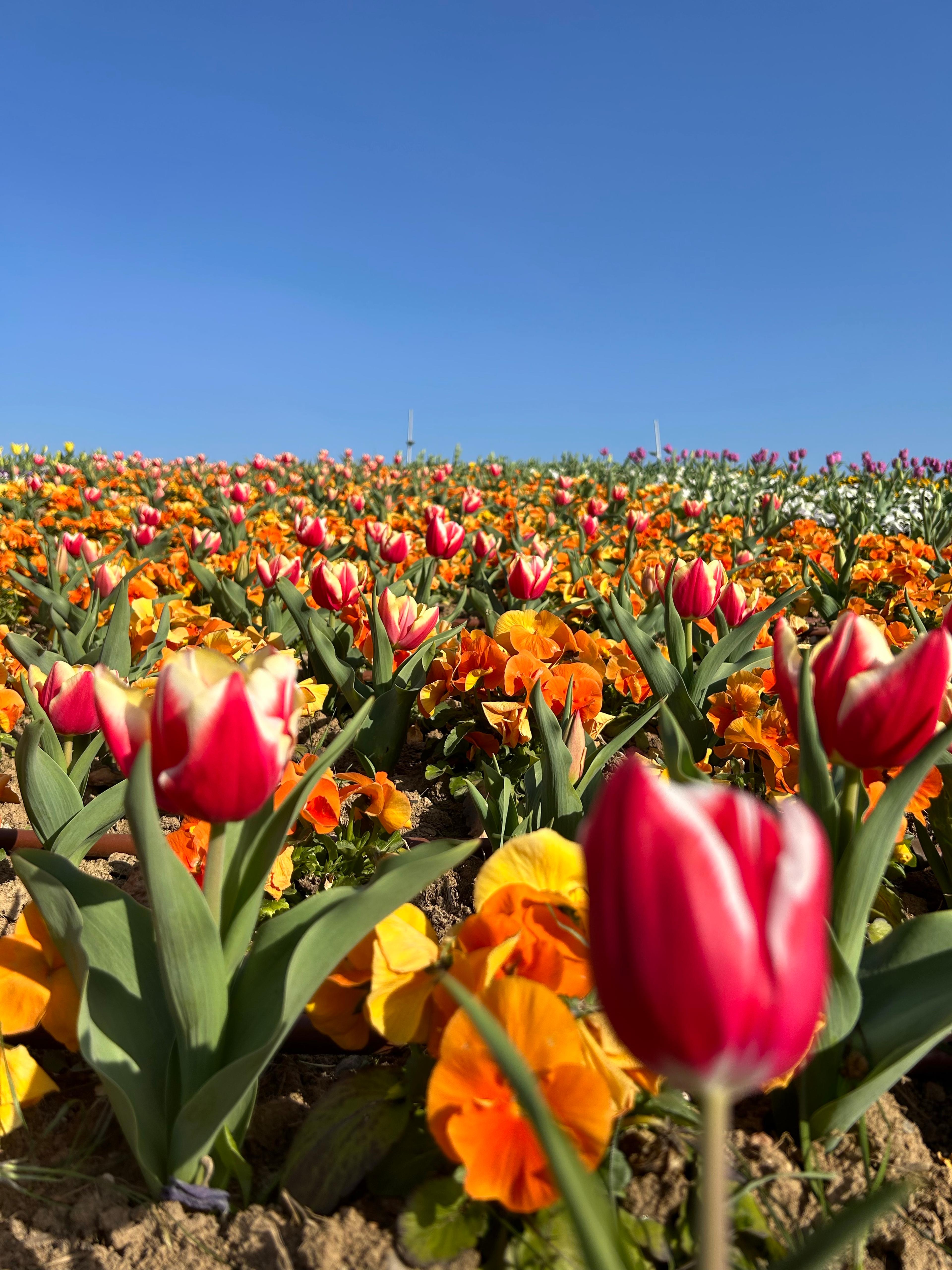 5e494a65-b973-48cb-b5c9-8443fd85ab14.jpeg