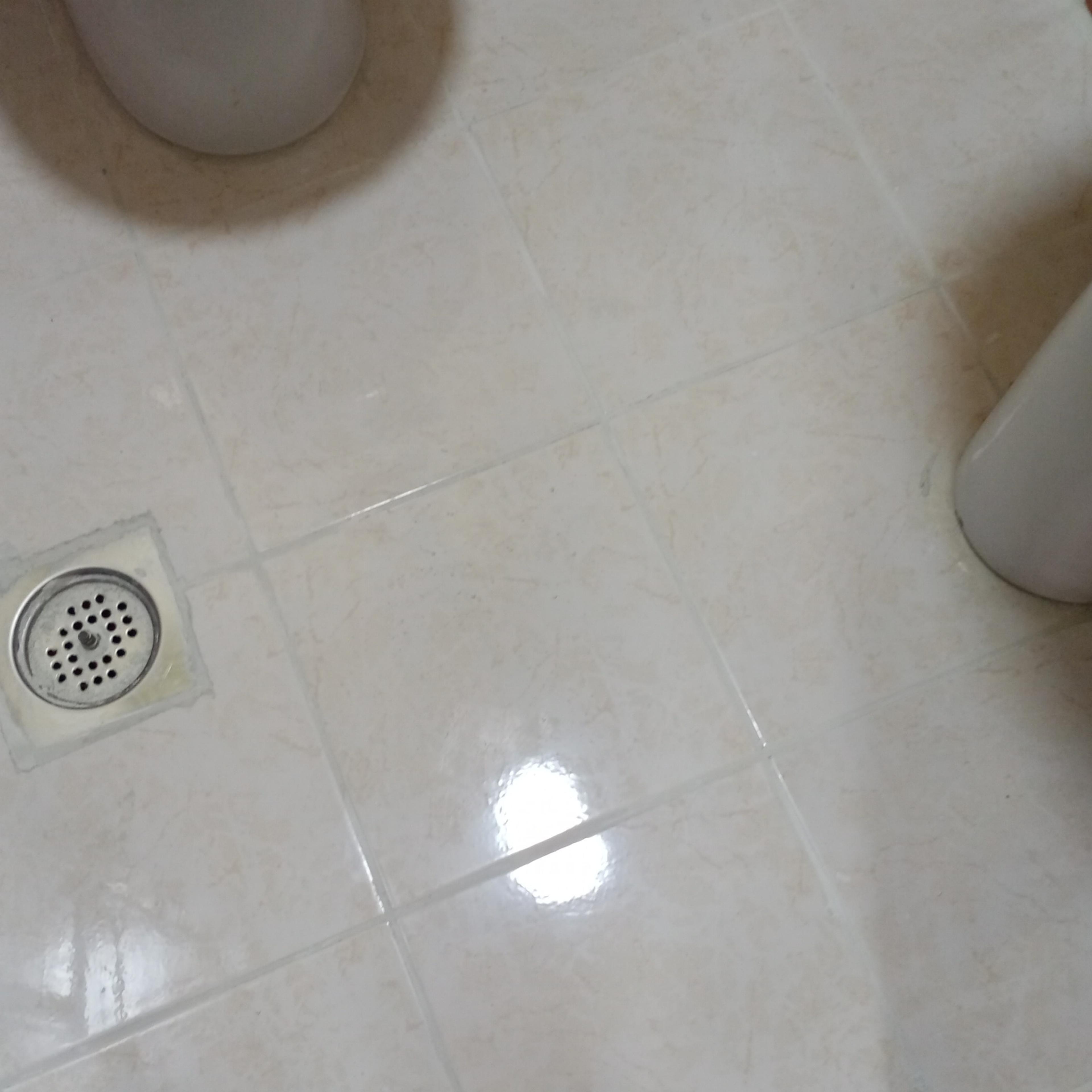 5f356714-e629-4cf0-aa26-e41bb5779f0d.jpeg