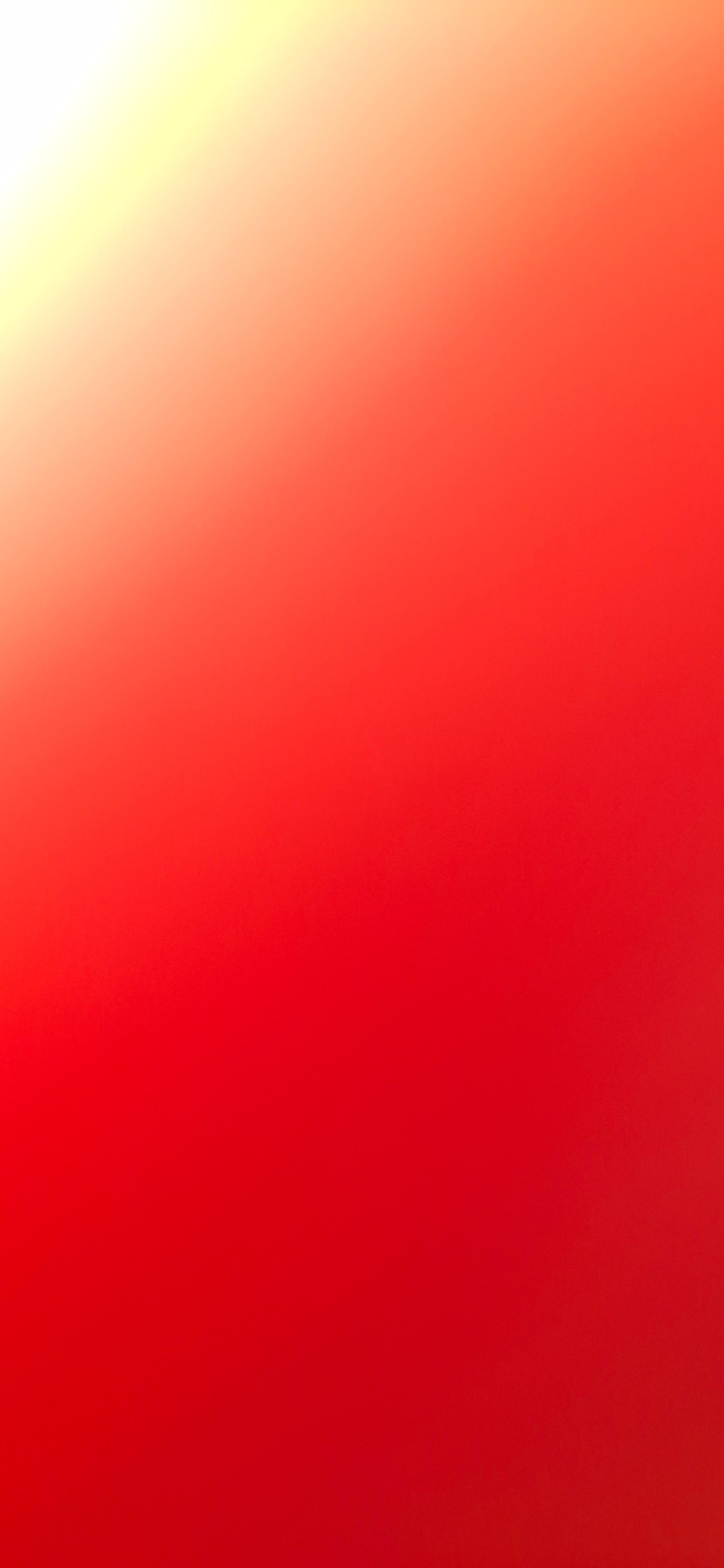 5f5423a0-203f-45e4-9325-545b8bf8e0db.jpeg