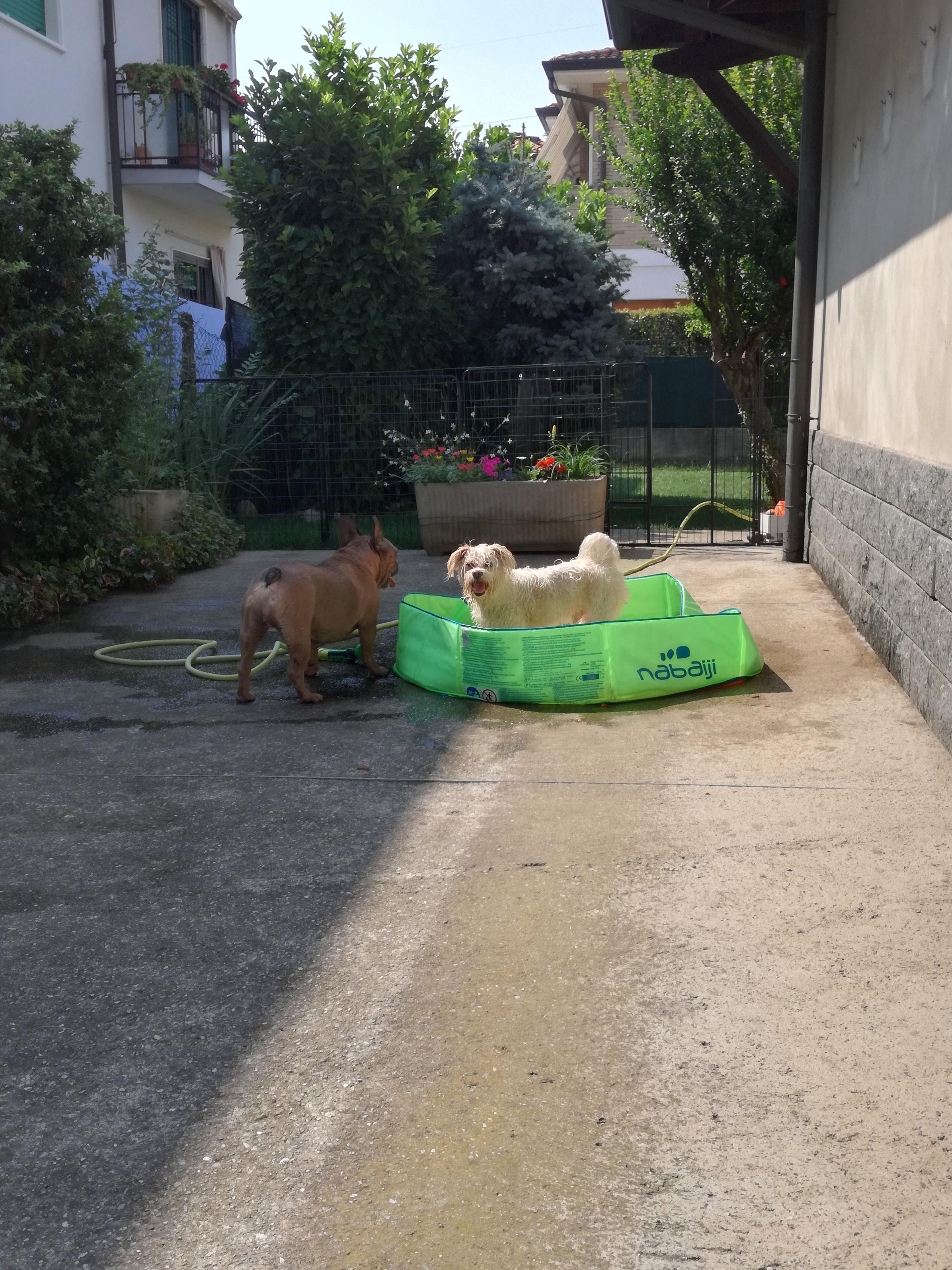 5f561a63-1e16-44b1-beb8-b769991d8676.jpeg