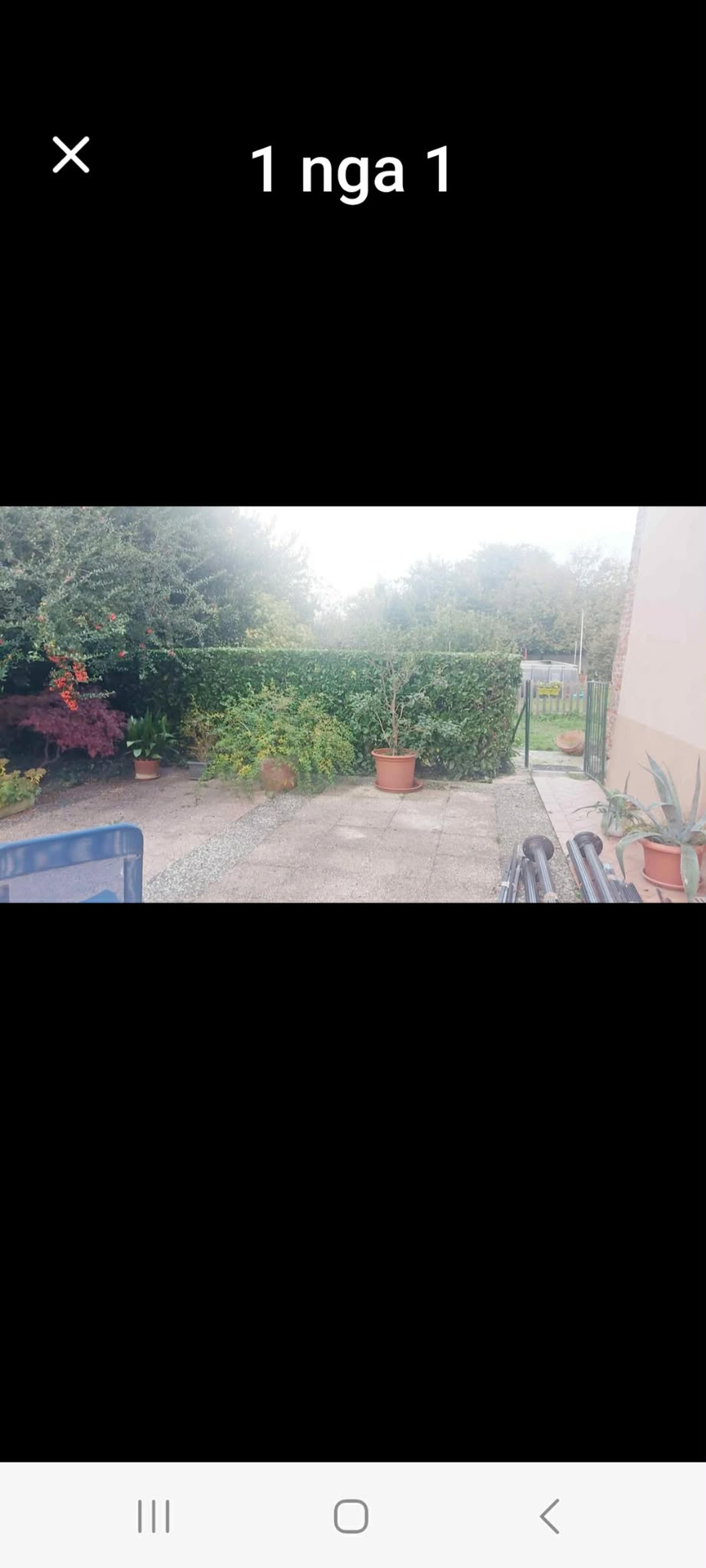 608687ad-f03d-411d-9ed8-3485d441cad5.jpeg