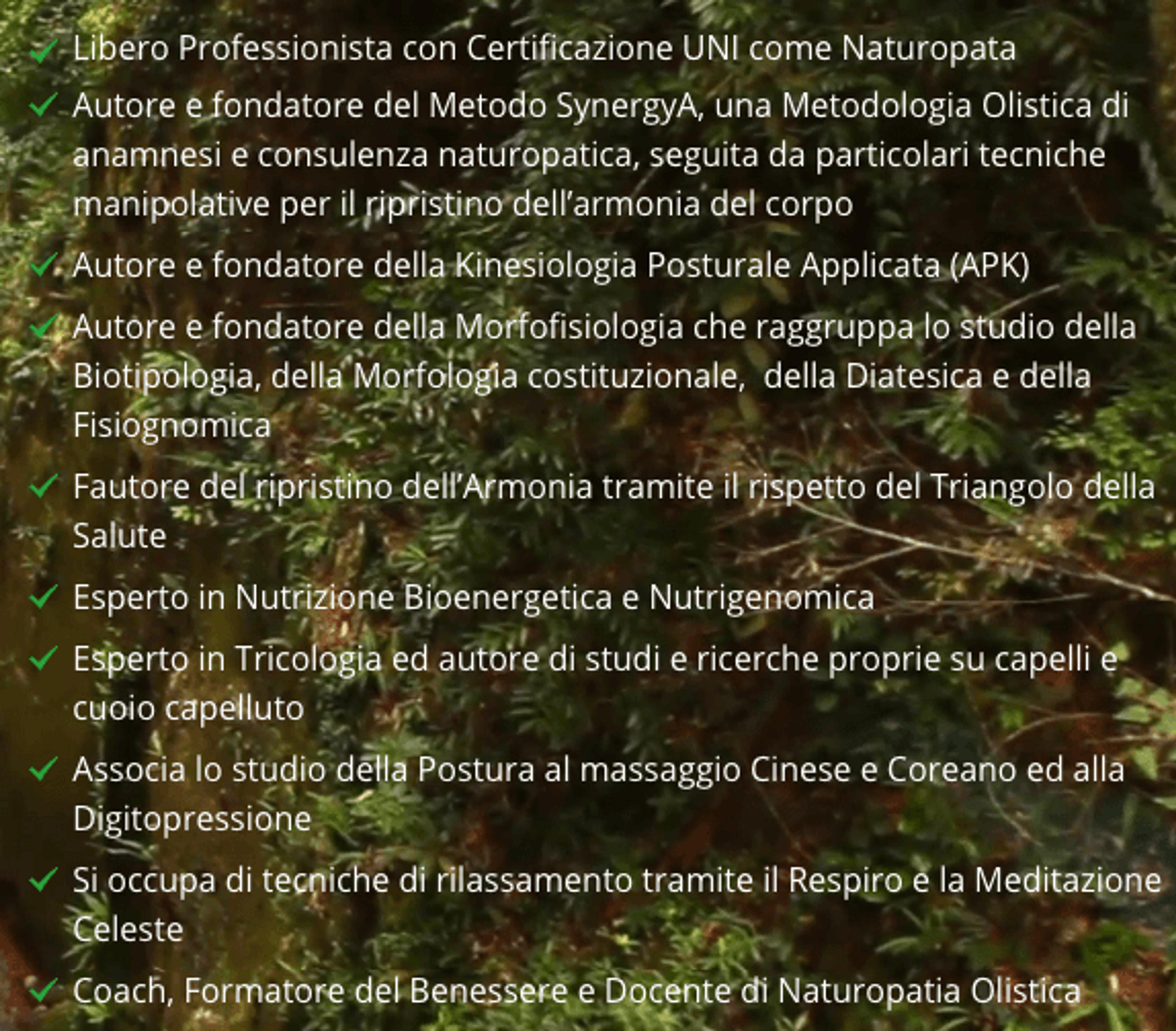60e70b36-db96-408d-8e65-56ec30f0c905.png