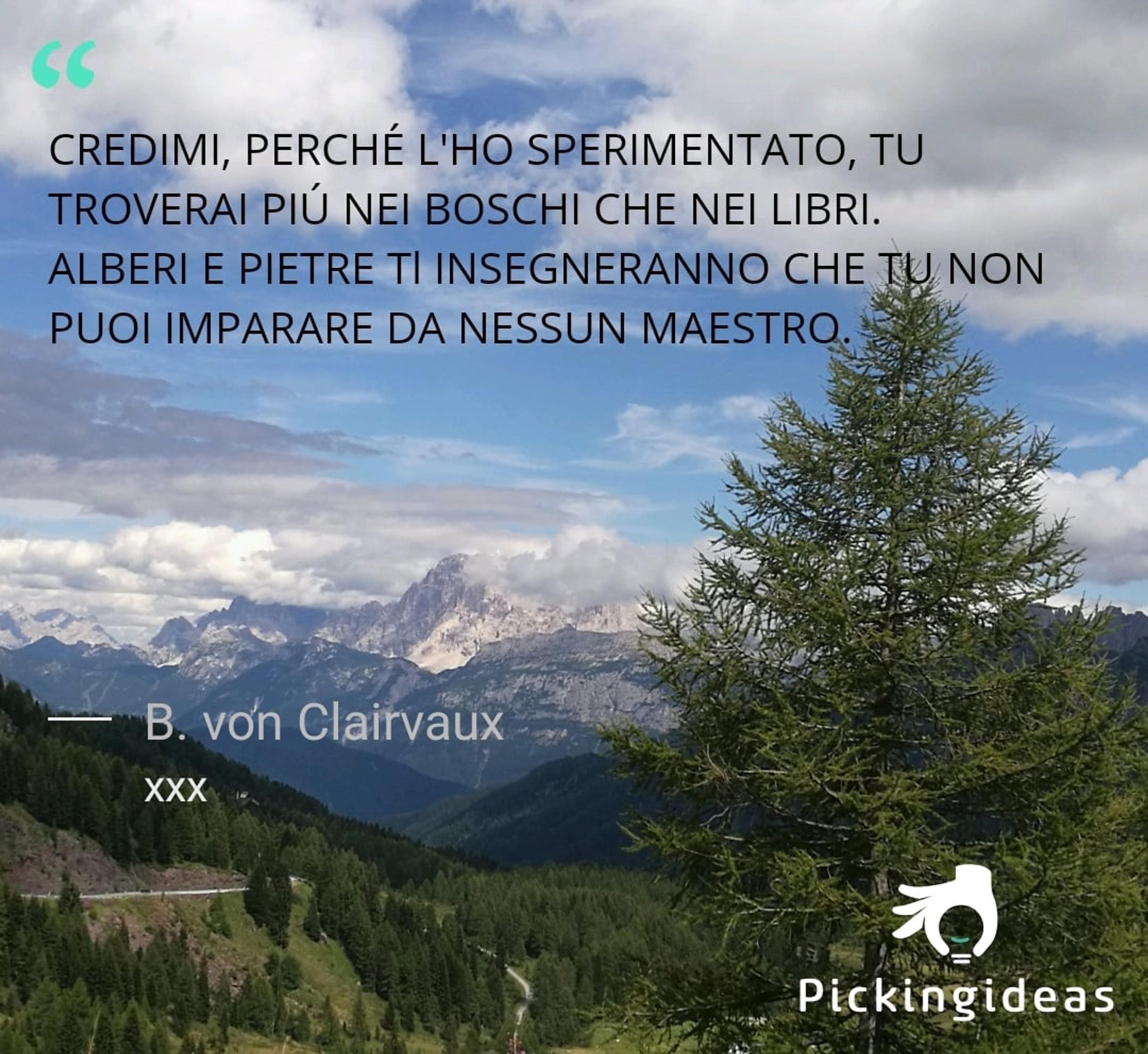 611a6cfc-8f7e-449c-b3ad-17b07adbb88c.jpeg