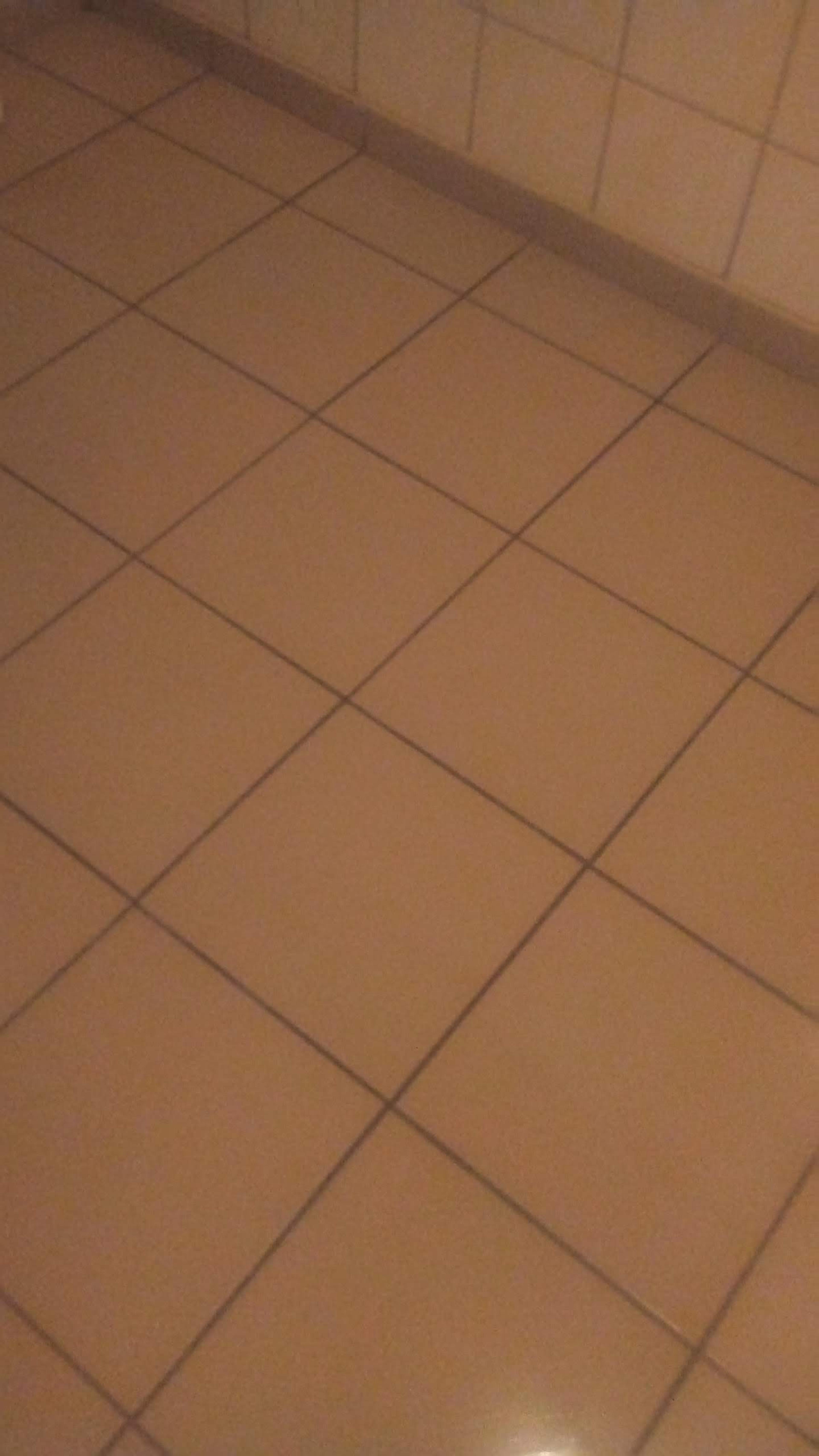 61f53e81-ebb1-47f6-9e13-5138433425e8.jpeg