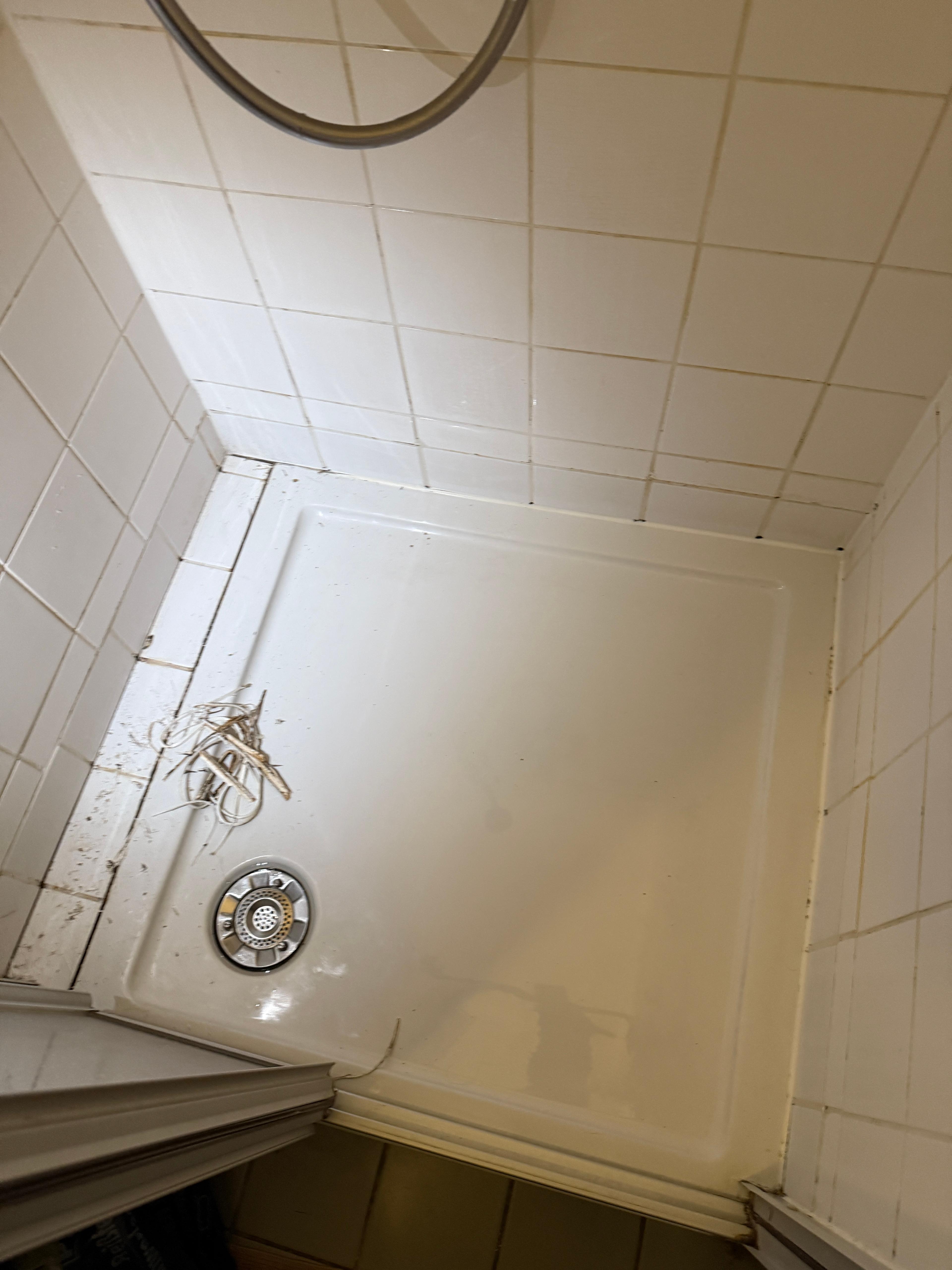 62a2dbf2-8578-4fa4-8934-209069f176ed.jpeg