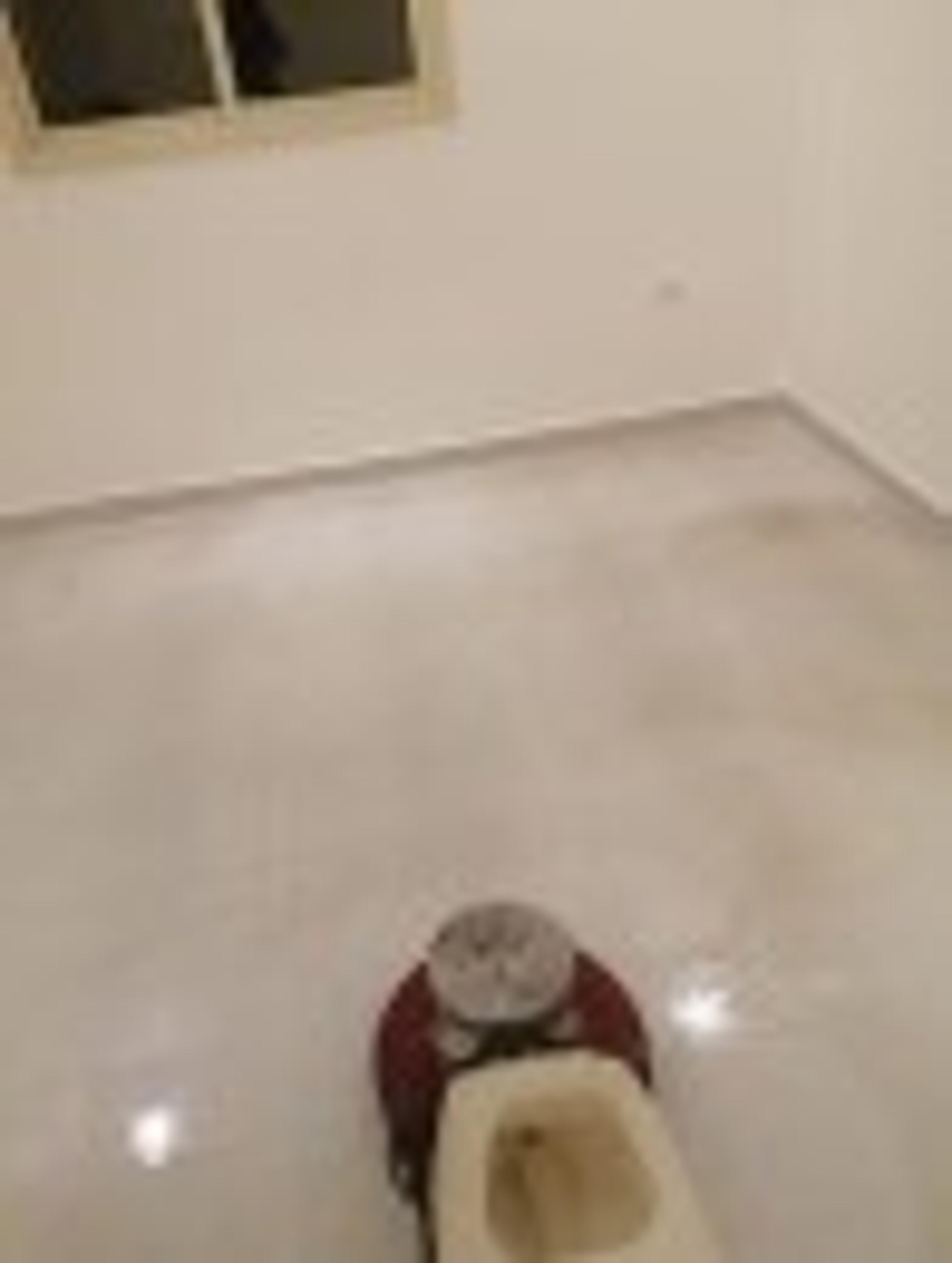 6389fe2c-b7b9-4ab0-a9cf-203cc4f57762.jpeg