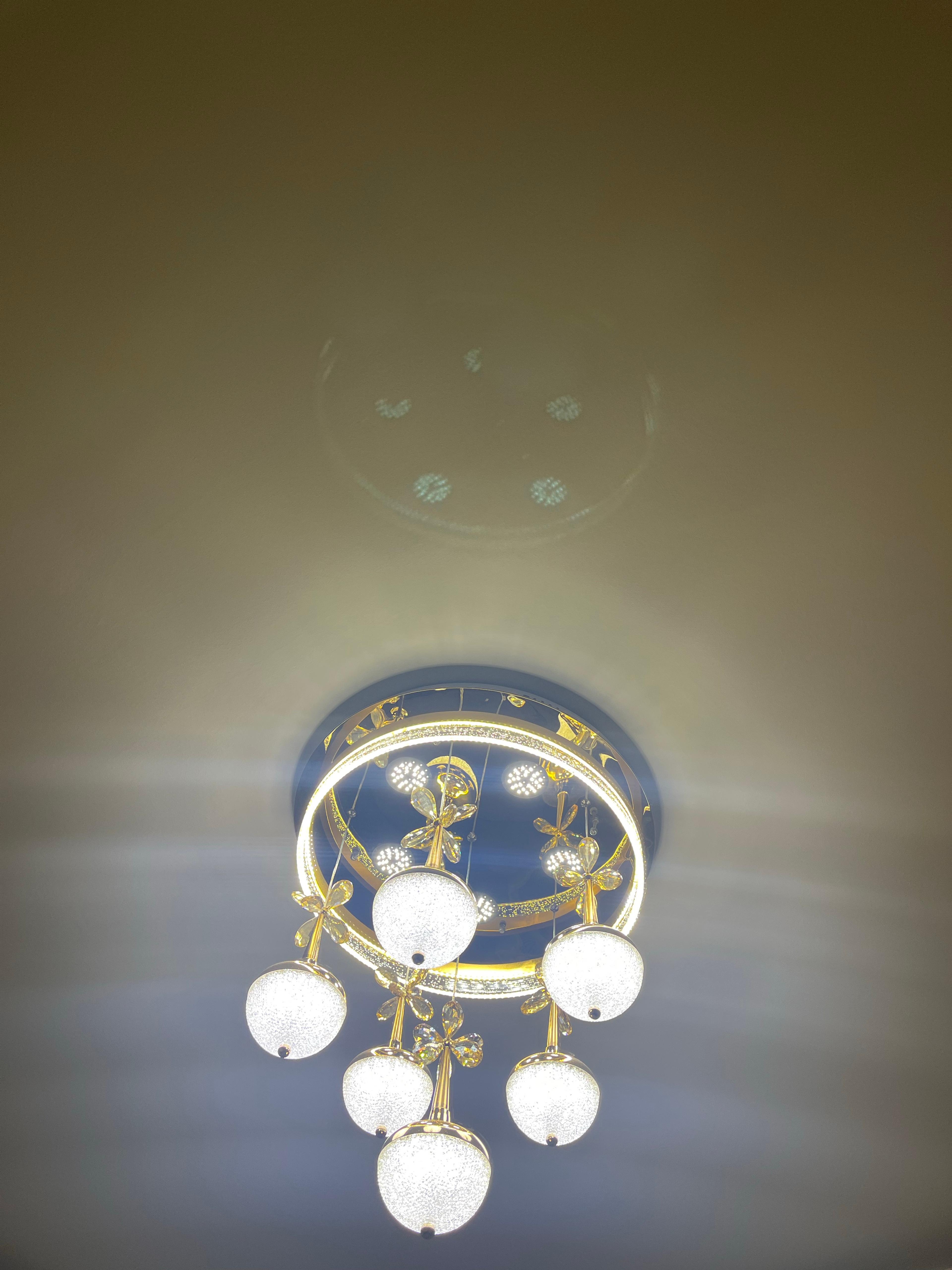 63a8d264-f047-4ef1-95ec-57eb4ed160ad.jpeg