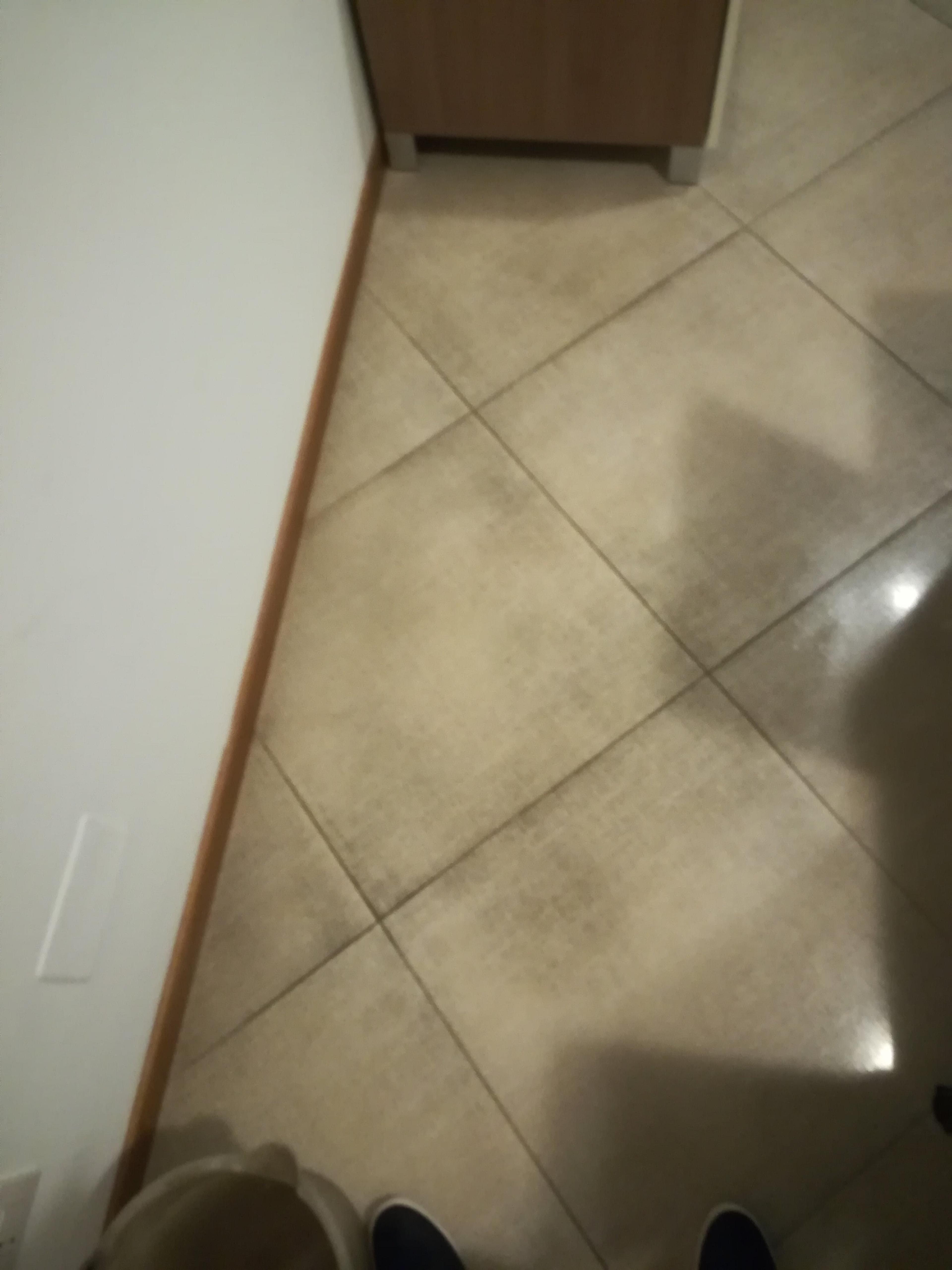 64e008d3-6471-4fba-b195-f4d111414799.jpeg