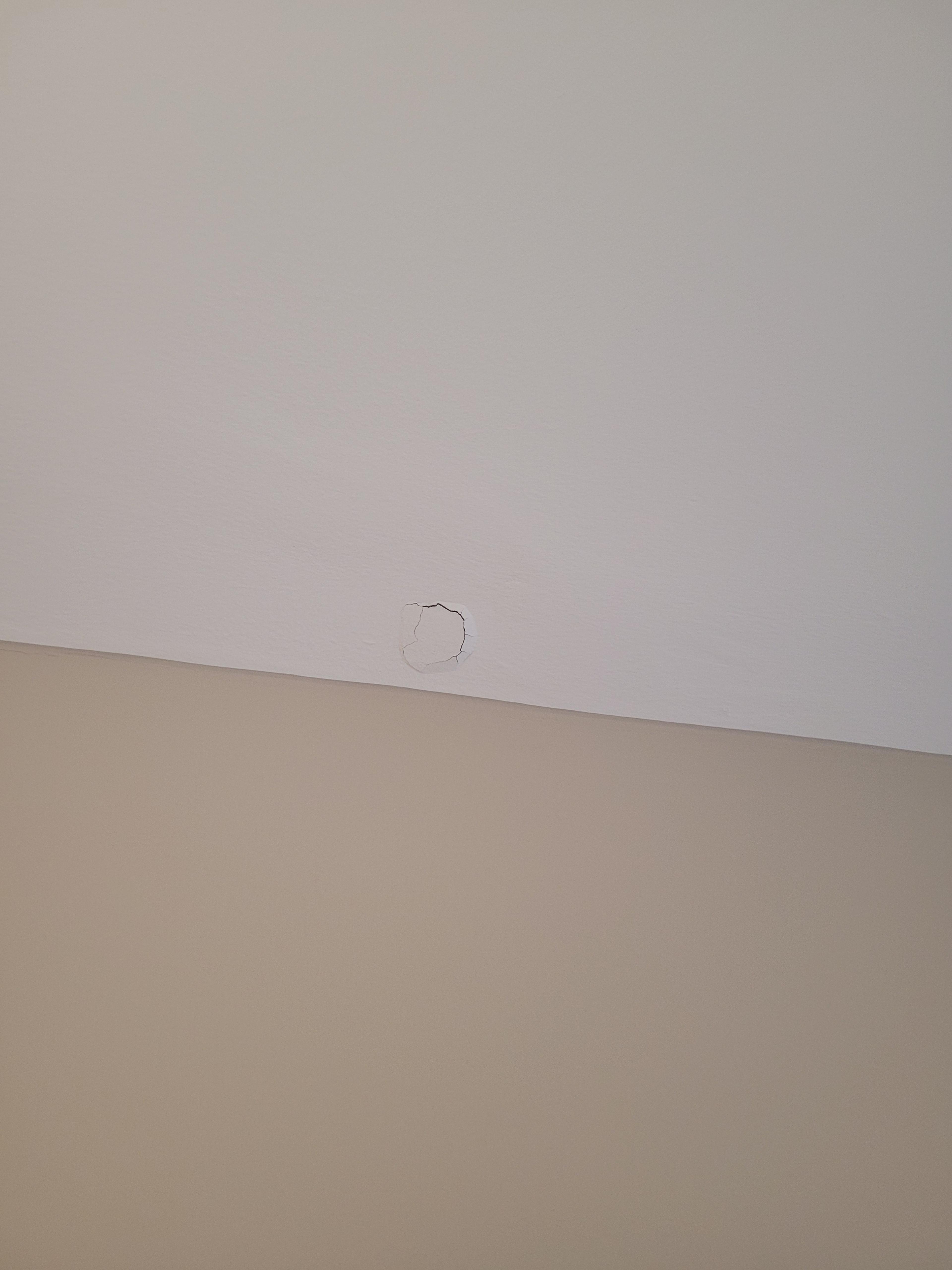 64f3ff03-9765-43d4-b972-02f59e5a986d.jpeg