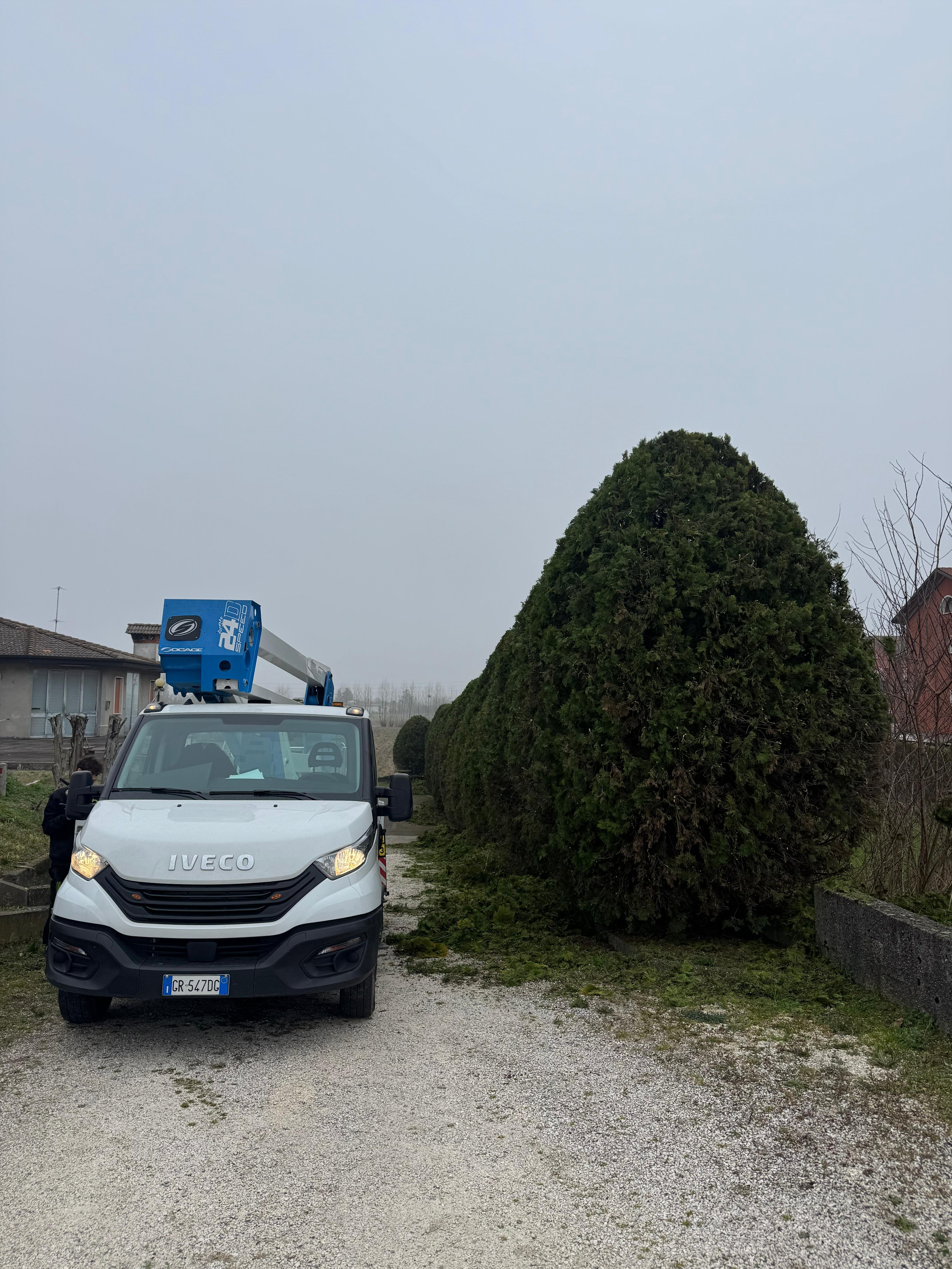 6513f5fe-8a85-42bb-a506-2a638eada569.jpeg