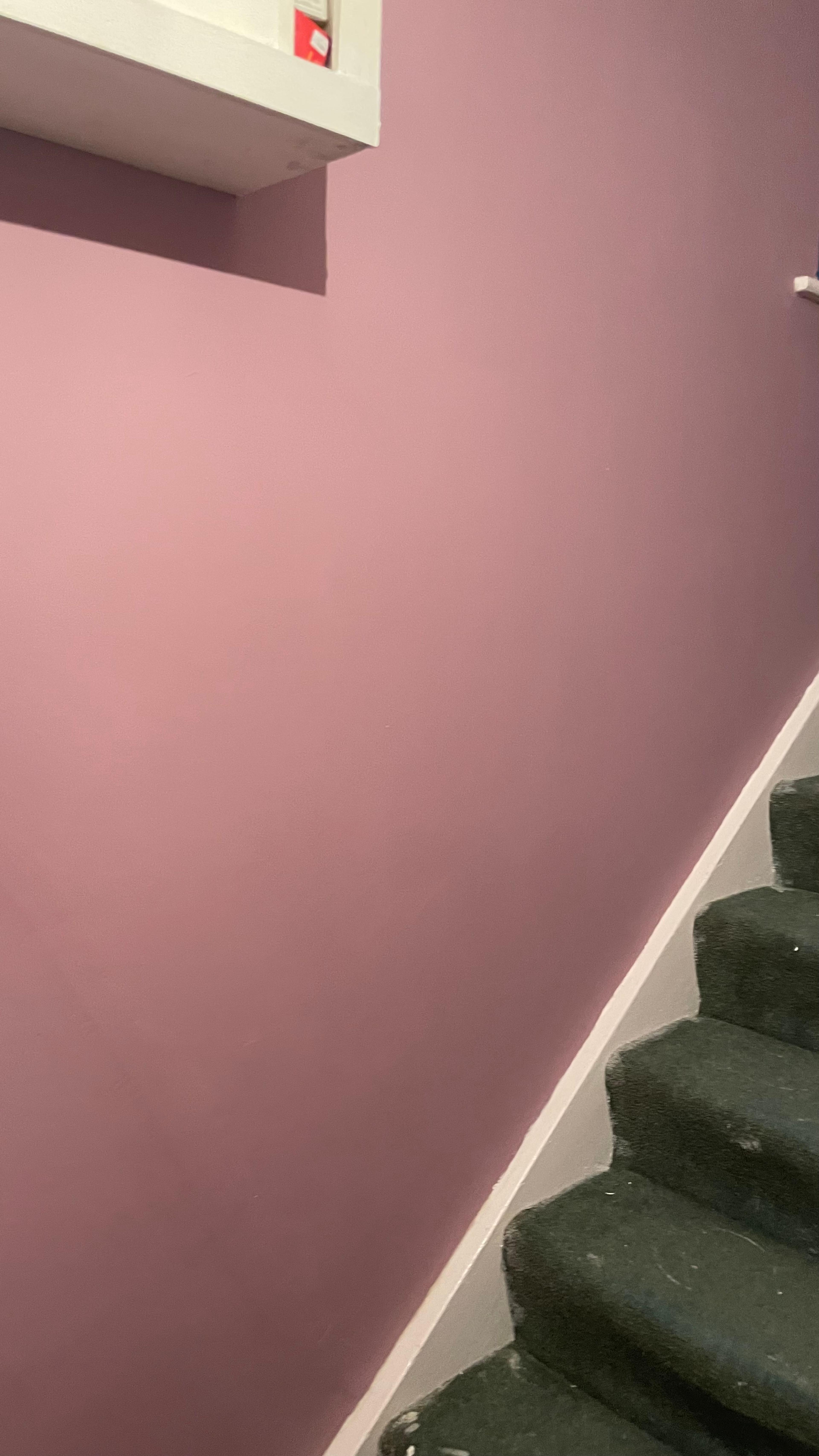 6568b6b8-5a72-44e0-86dc-1fc5a3d1db08.jpeg