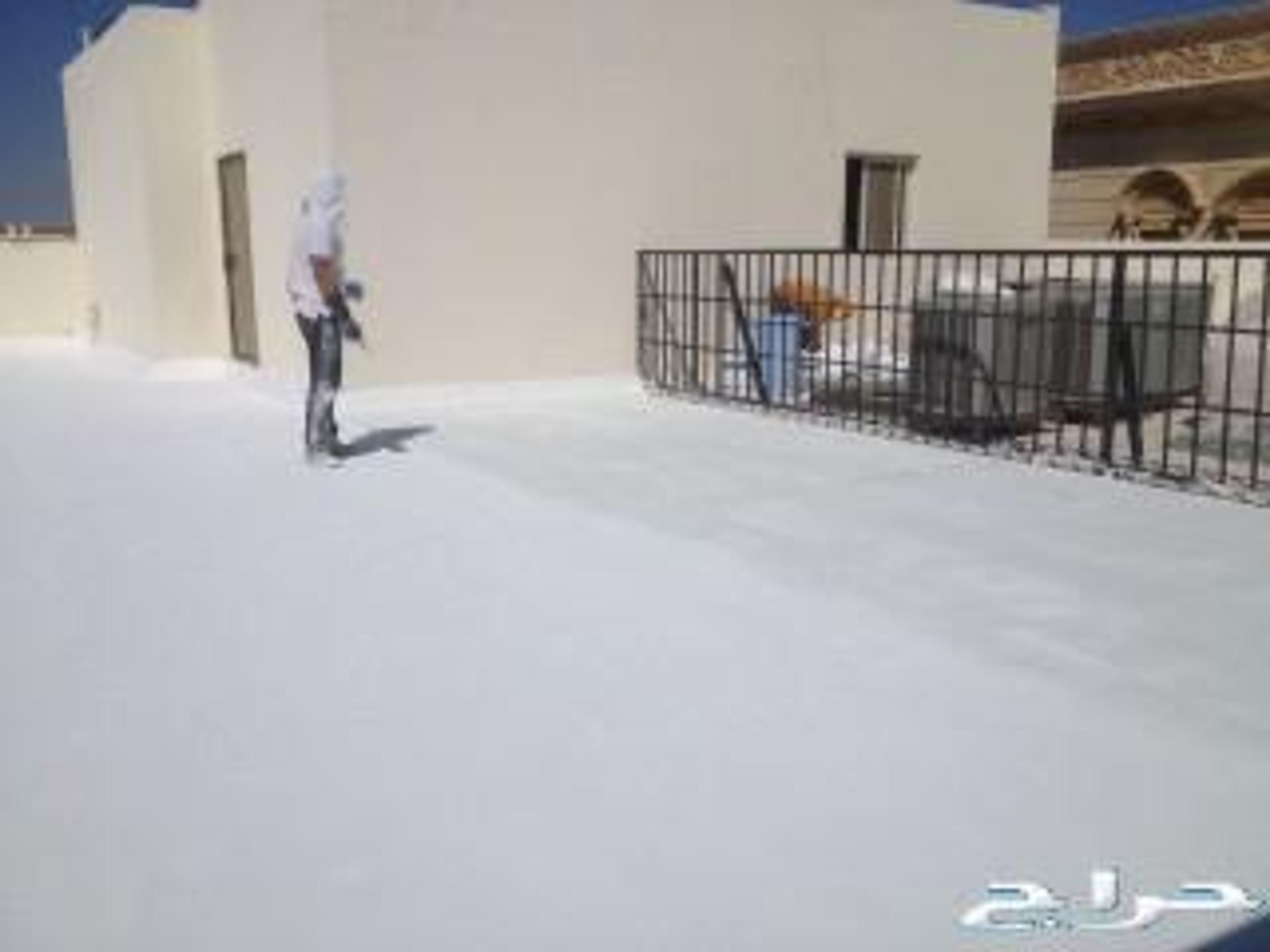 656ccf9b-e867-4dfd-9571-01515ea24e57.jpeg