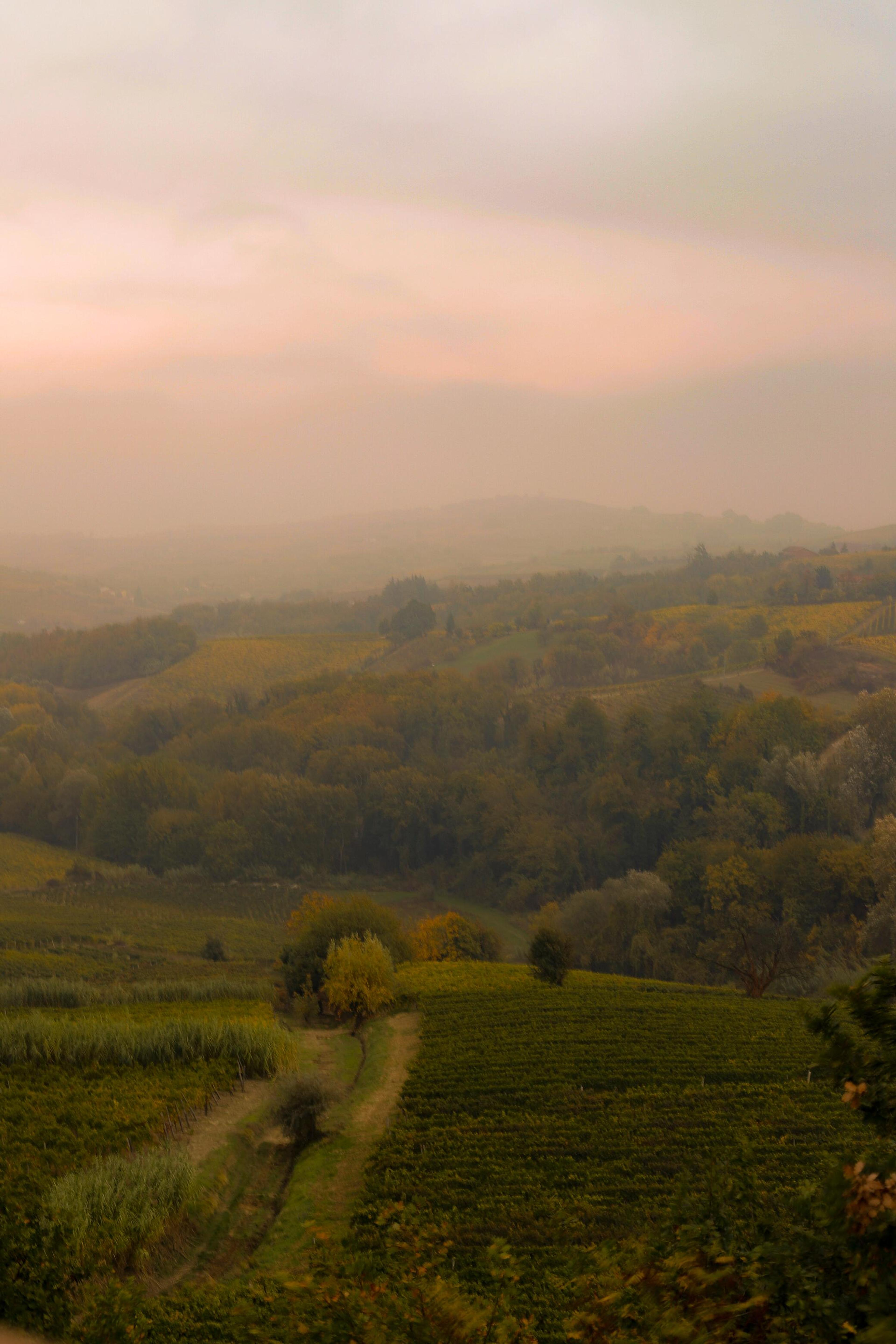 663f450c-744d-4103-81d3-2c683b421e48.jpeg