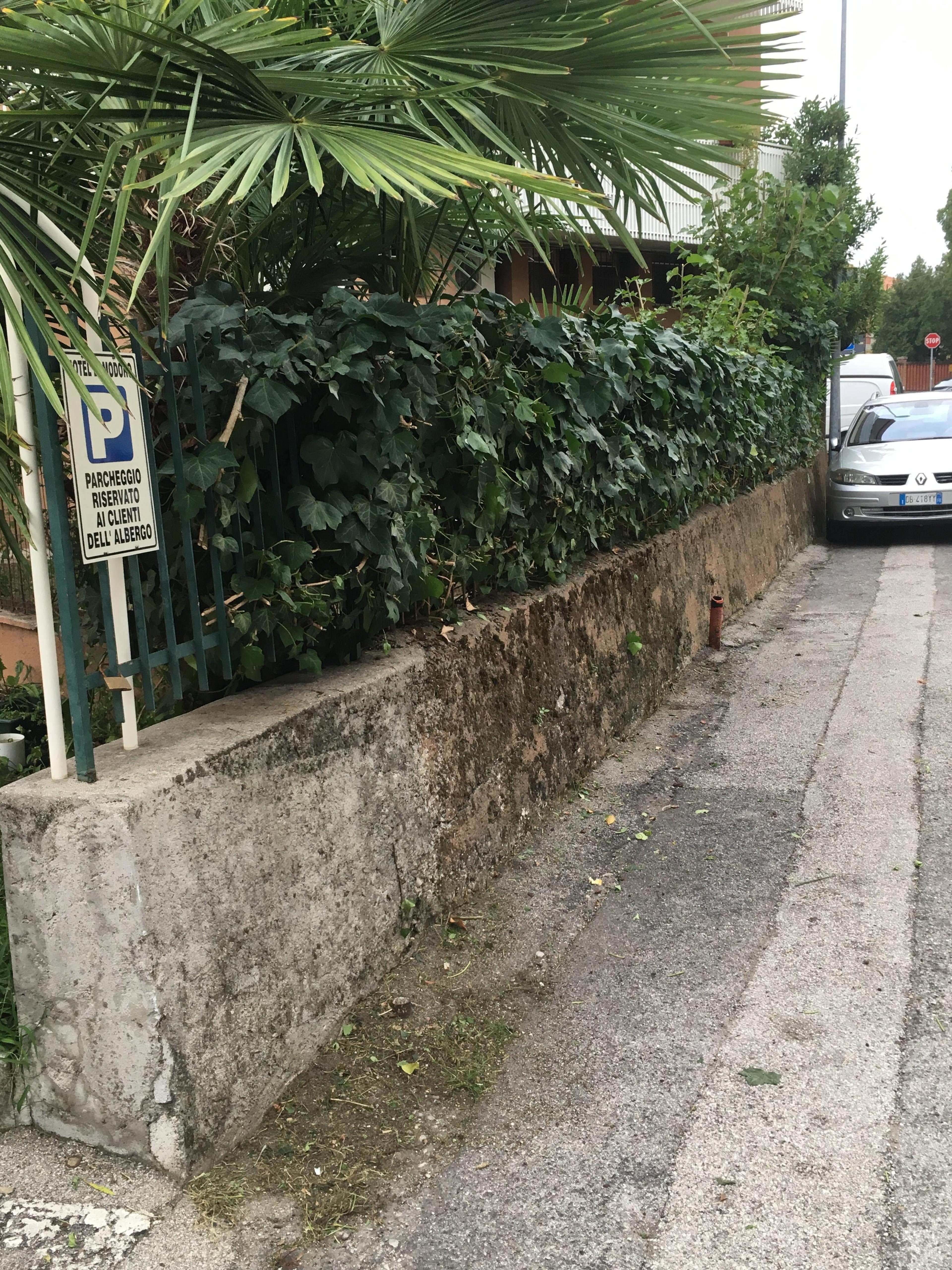 67250190-6531-4560-b7e7-e1e5884d698b.jpeg