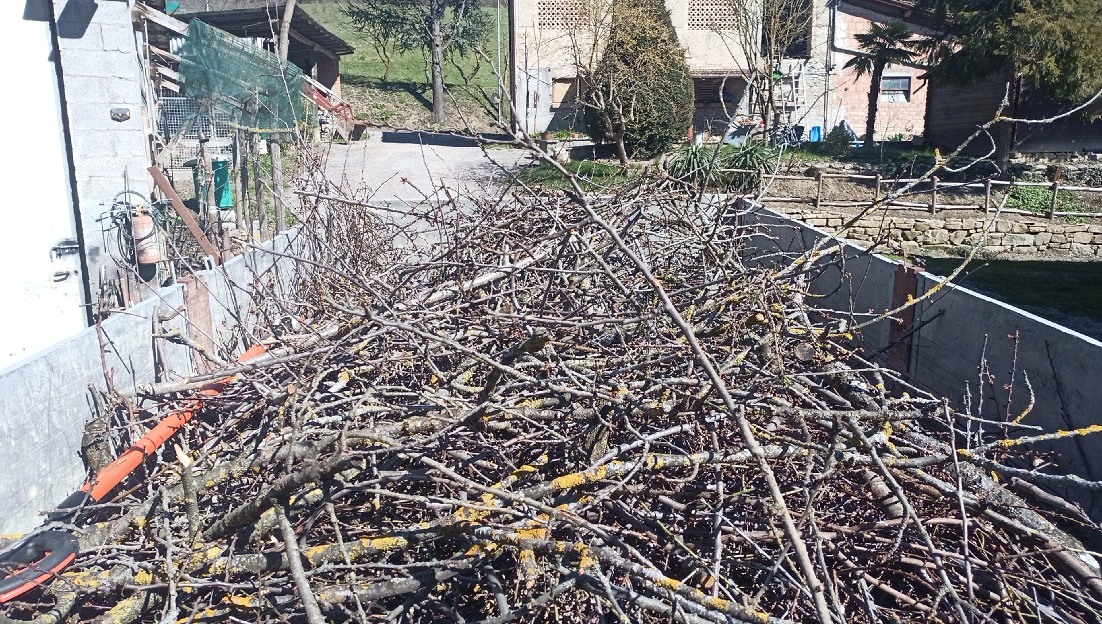 67ae8d2d-4e19-44ca-a5b8-60247b0d88d9.jpeg