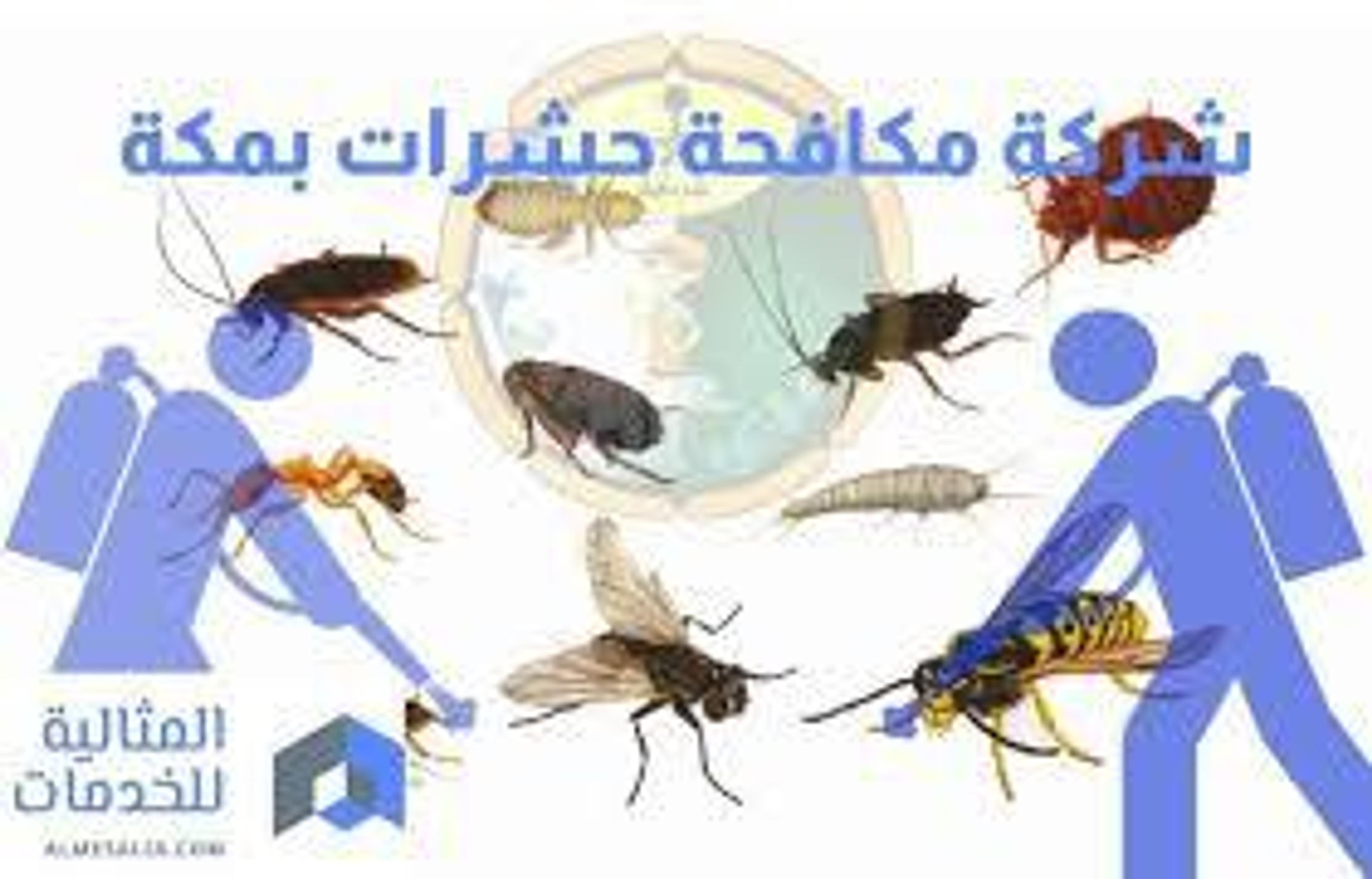 67cbf11e-4f95-40d3-ae1b-f3f040c80bf6.jpeg