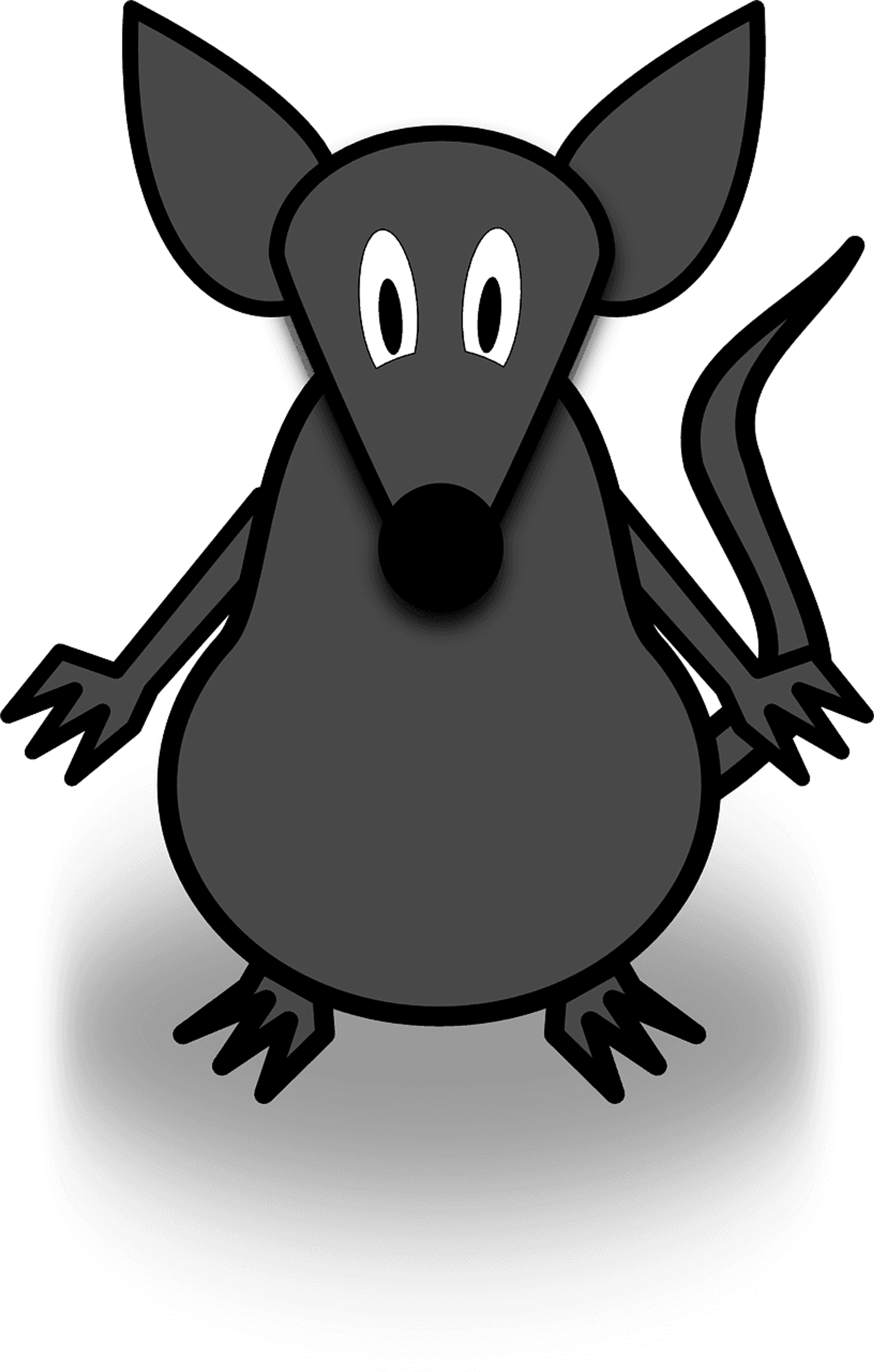 67ce95c1-f16b-4a69-a06b-cccb635be2f0.png