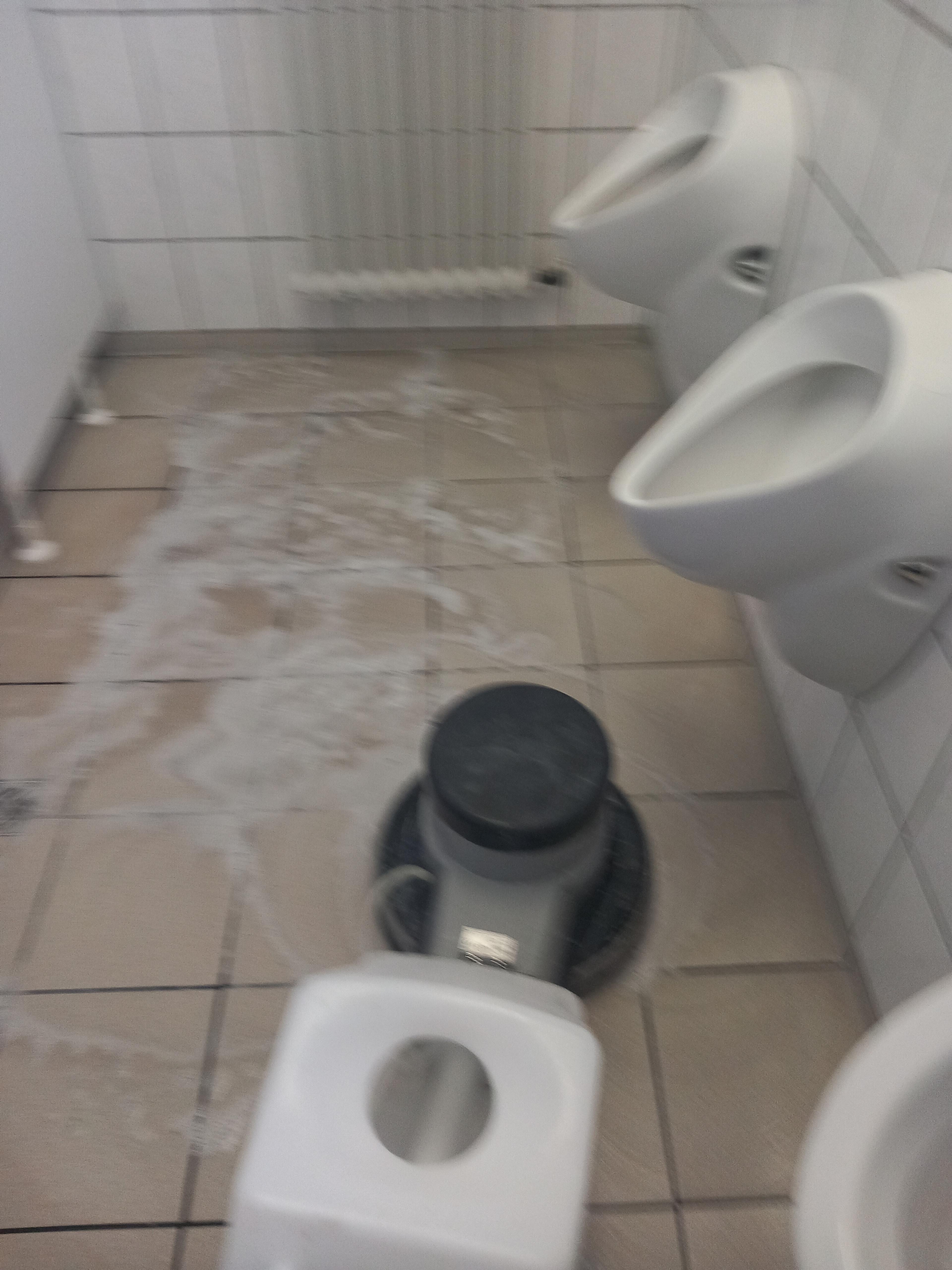 67d82b8d-669b-4419-8457-1f86722b62c6.jpeg