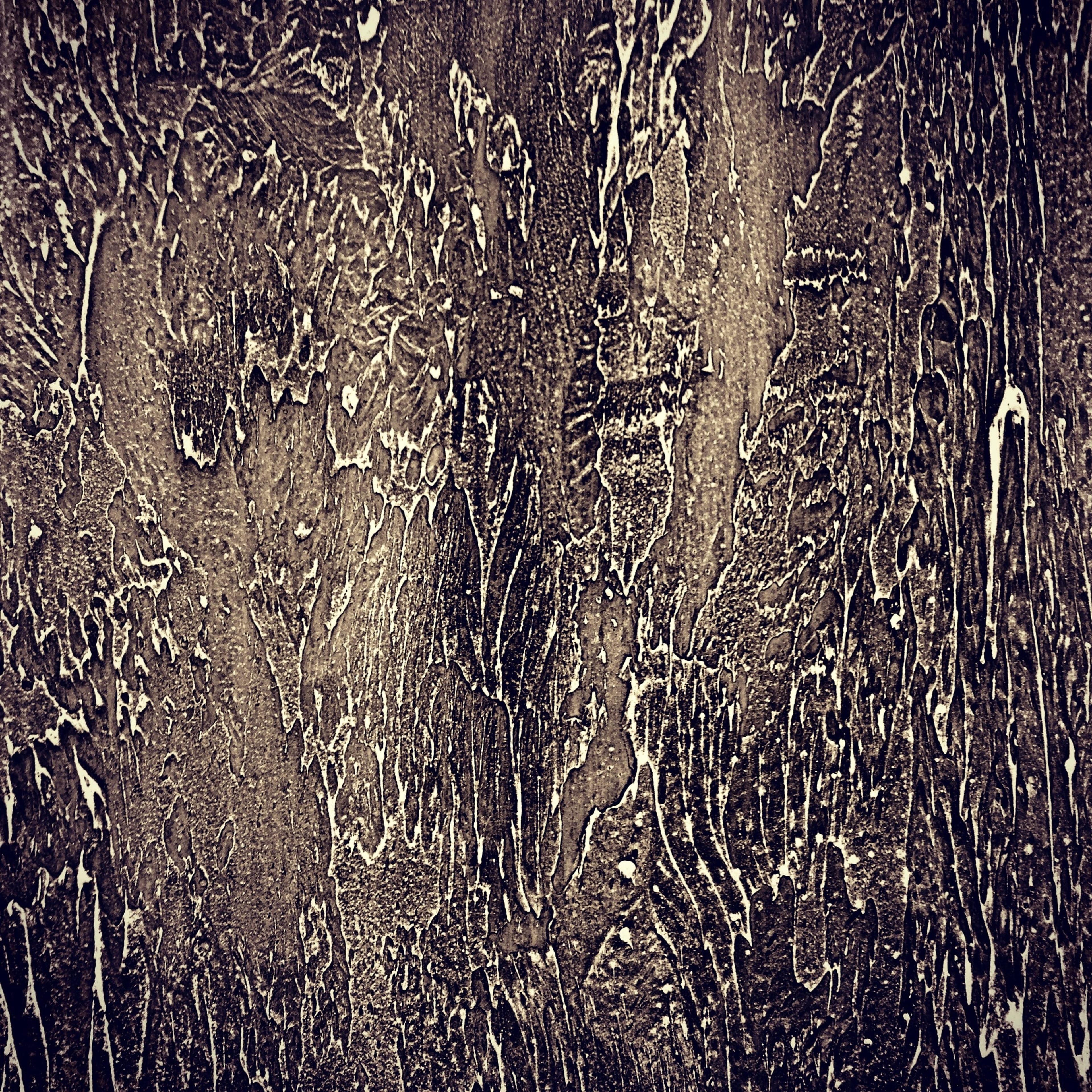 685945fd-8144-47df-886b-22a2bb765019.jpeg