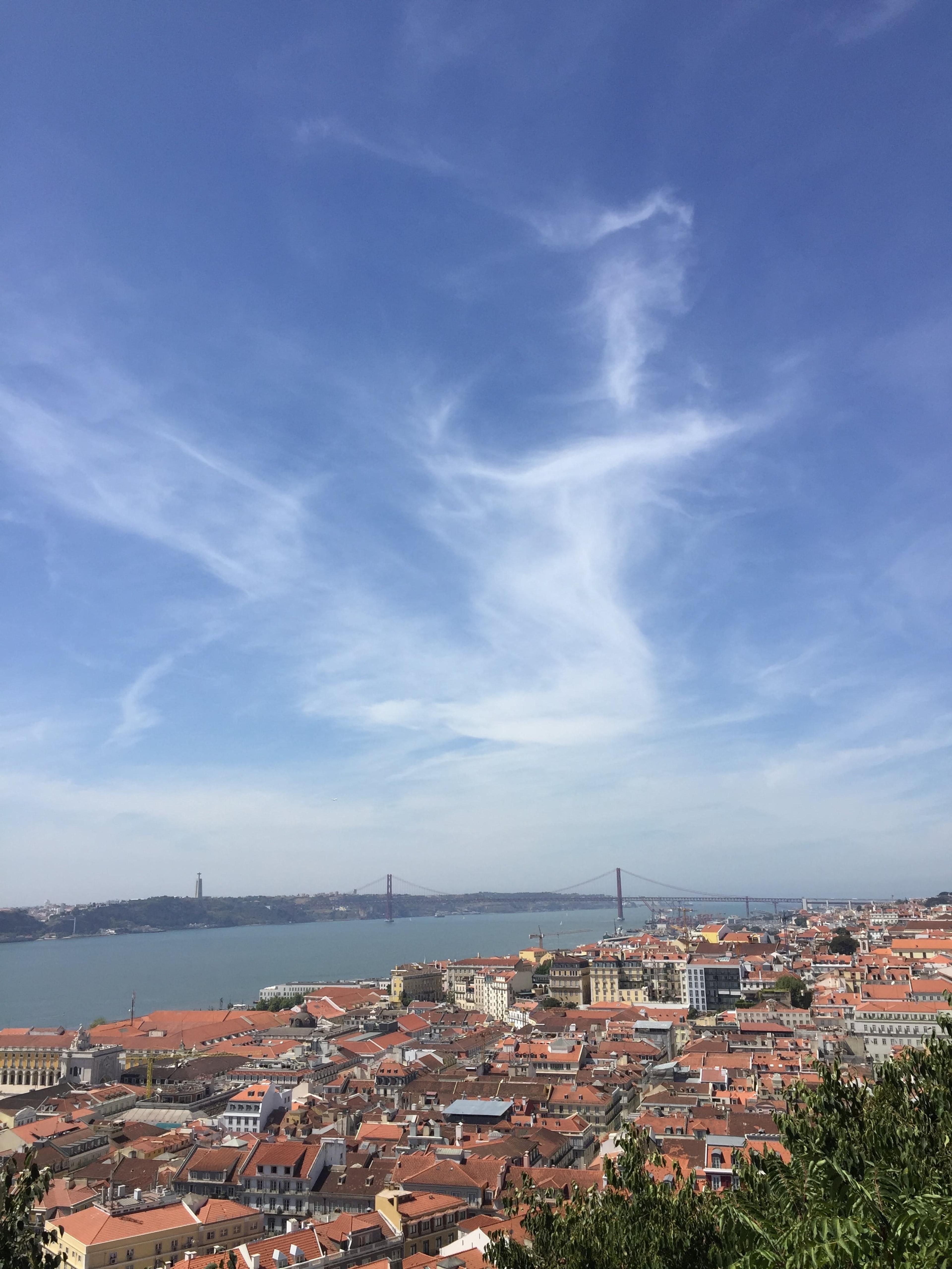 68642566-d809-4b3e-ba81-113e35212027.jpeg