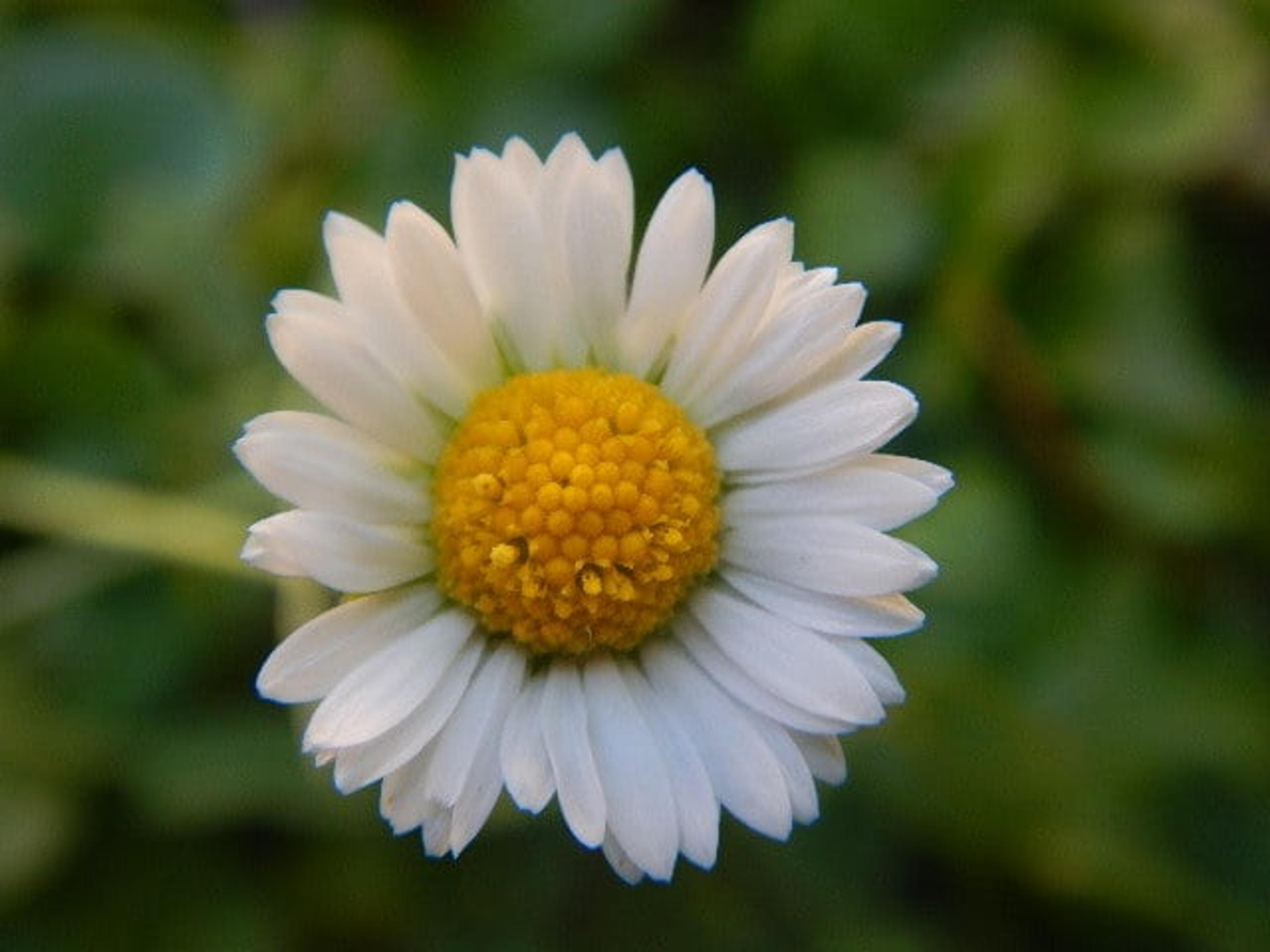 69f9ce62-8b40-48f0-ada1-5ef2cb1862bc.jpeg