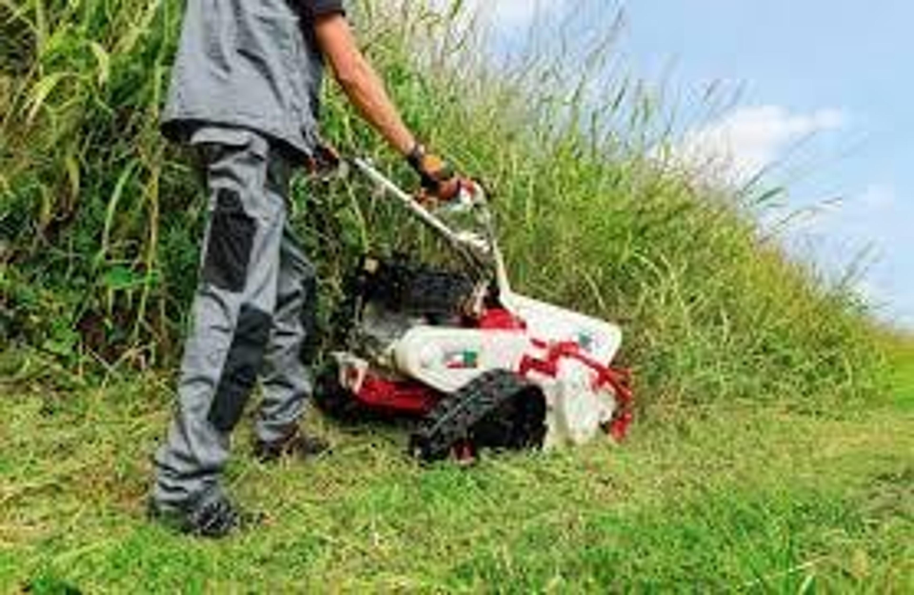 6a618700-8312-46ed-9c4d-402ccb344fe0.jpeg