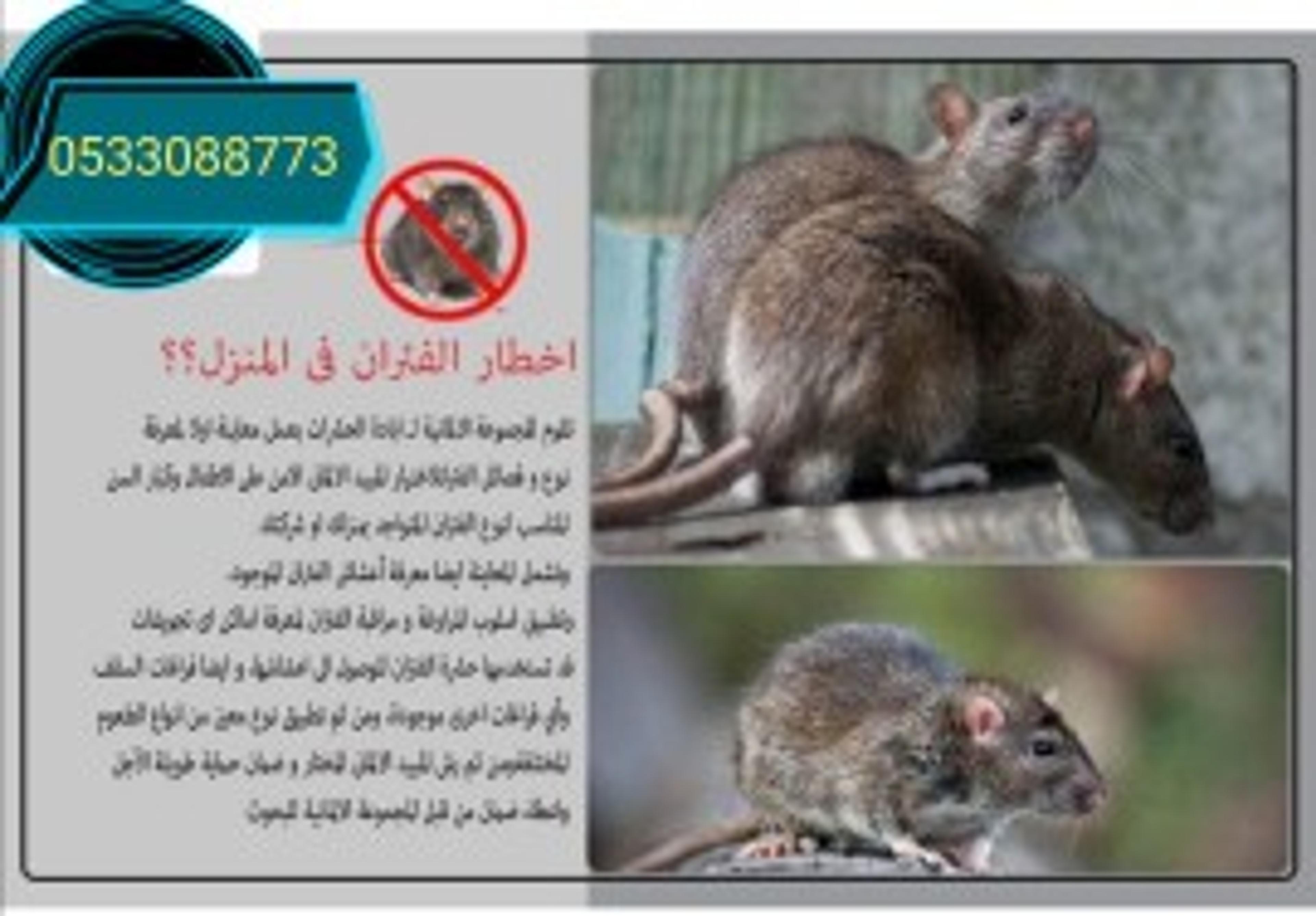 6ac05fd5-f6e9-4c16-a052-f5dd4af993c6.jpeg