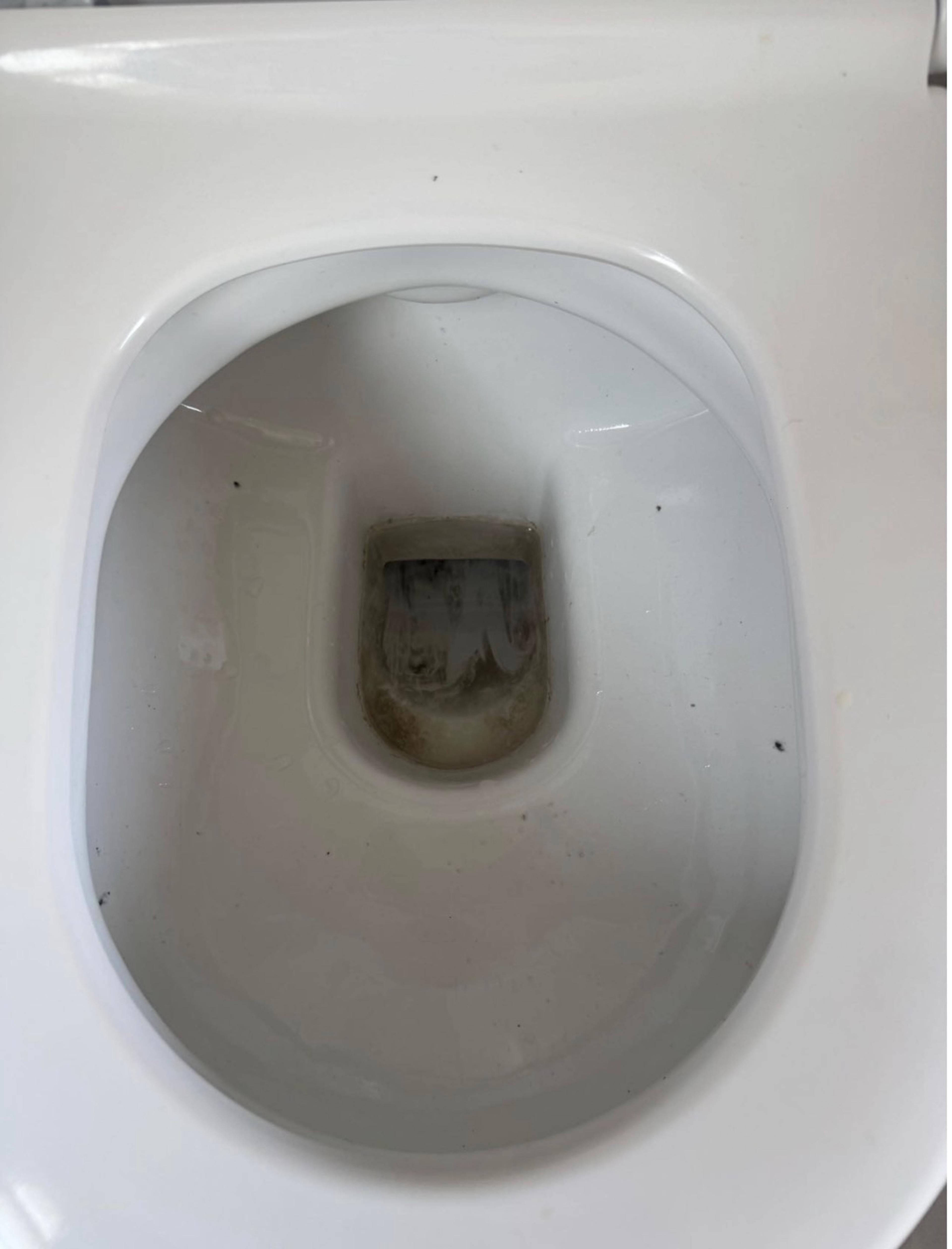 6bce725c-91ec-45f7-b22a-5a9ebe3e73e7.jpeg