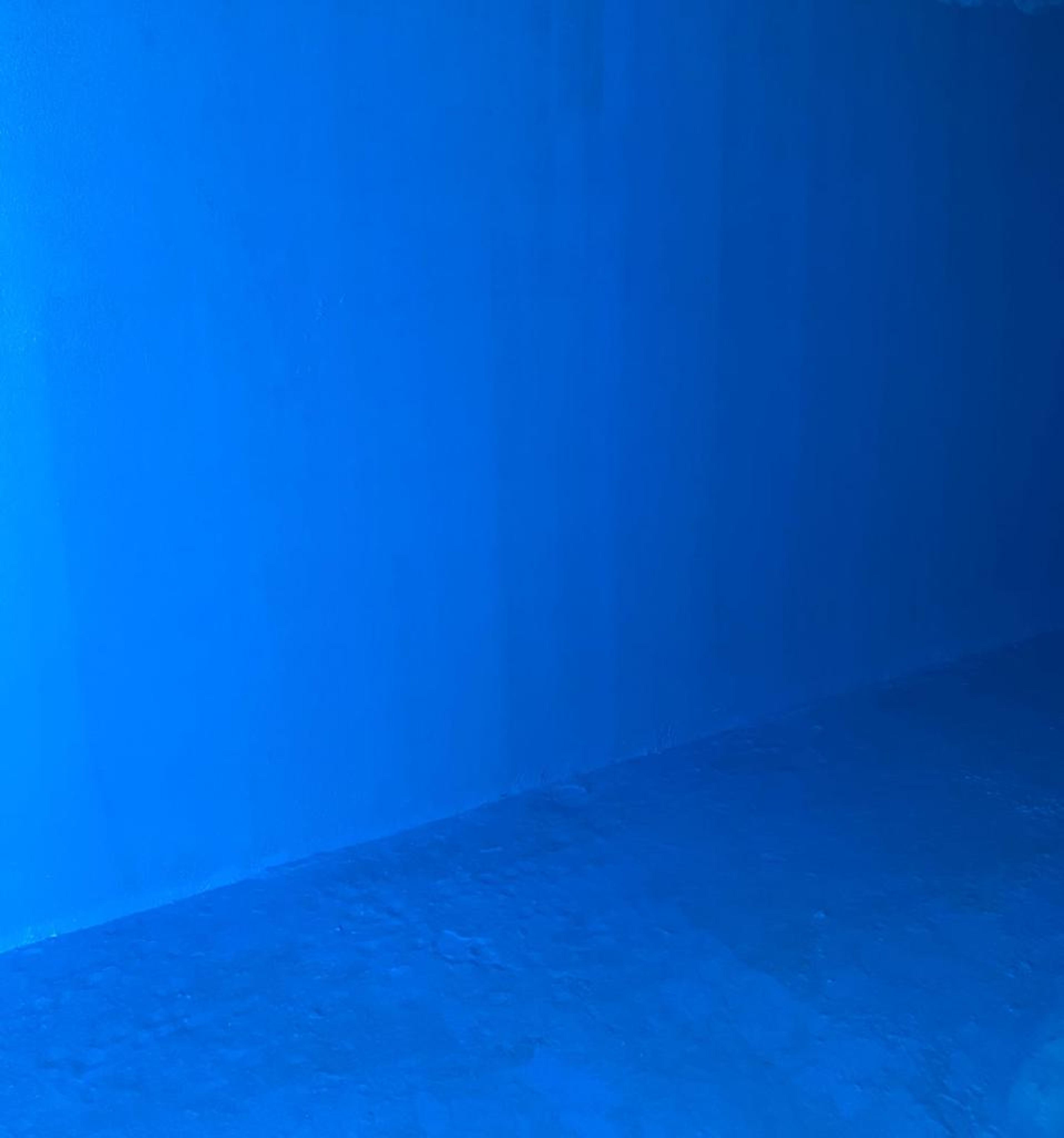 6bfa2c3f-2f78-406c-b39b-d7b3ede89255.jpeg