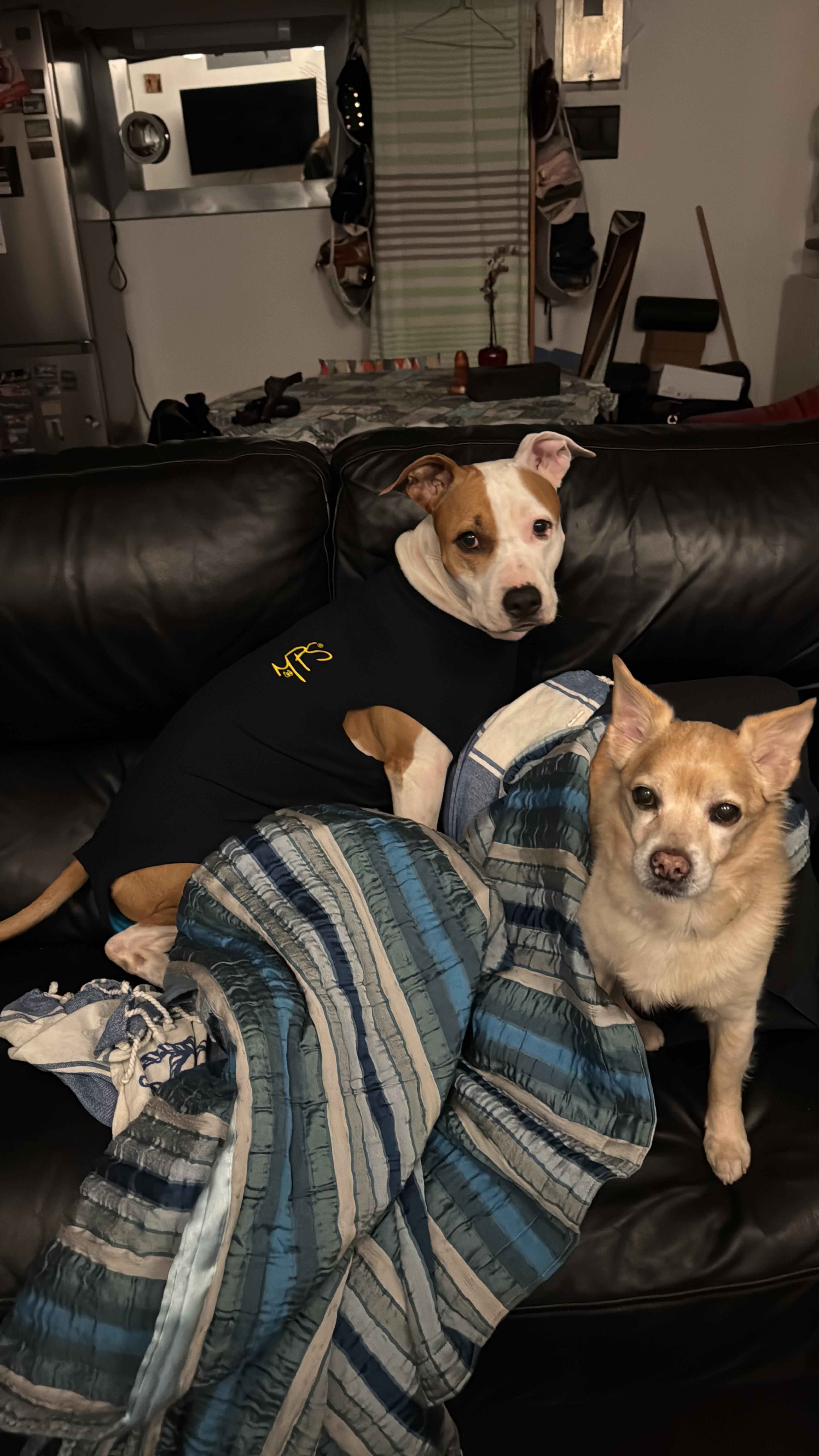 6c06f609-5198-4ba6-9486-be15e37f6115.jpeg