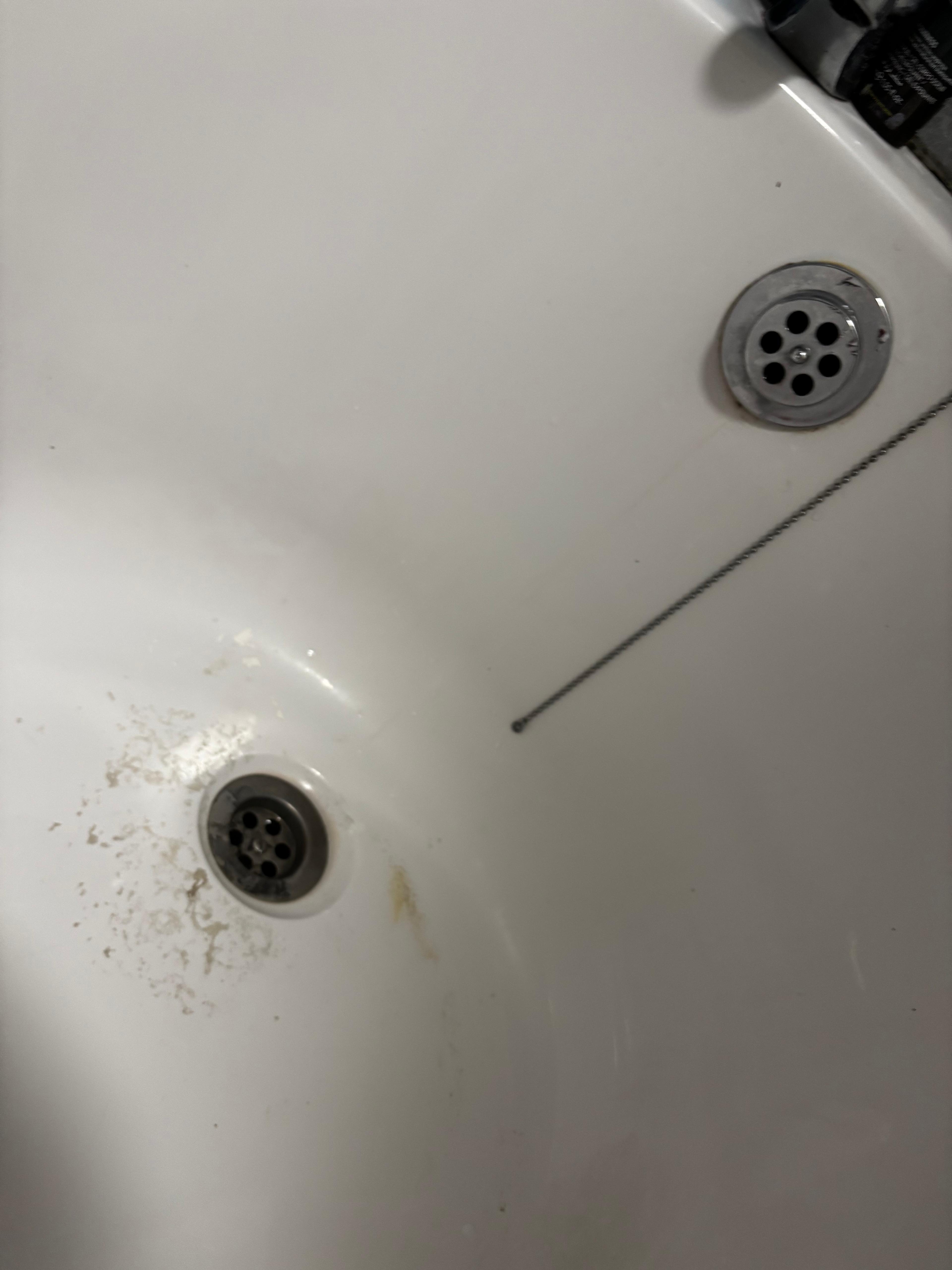 6c2675ee-d237-48b1-8d1e-762aaf4a00d6.jpeg