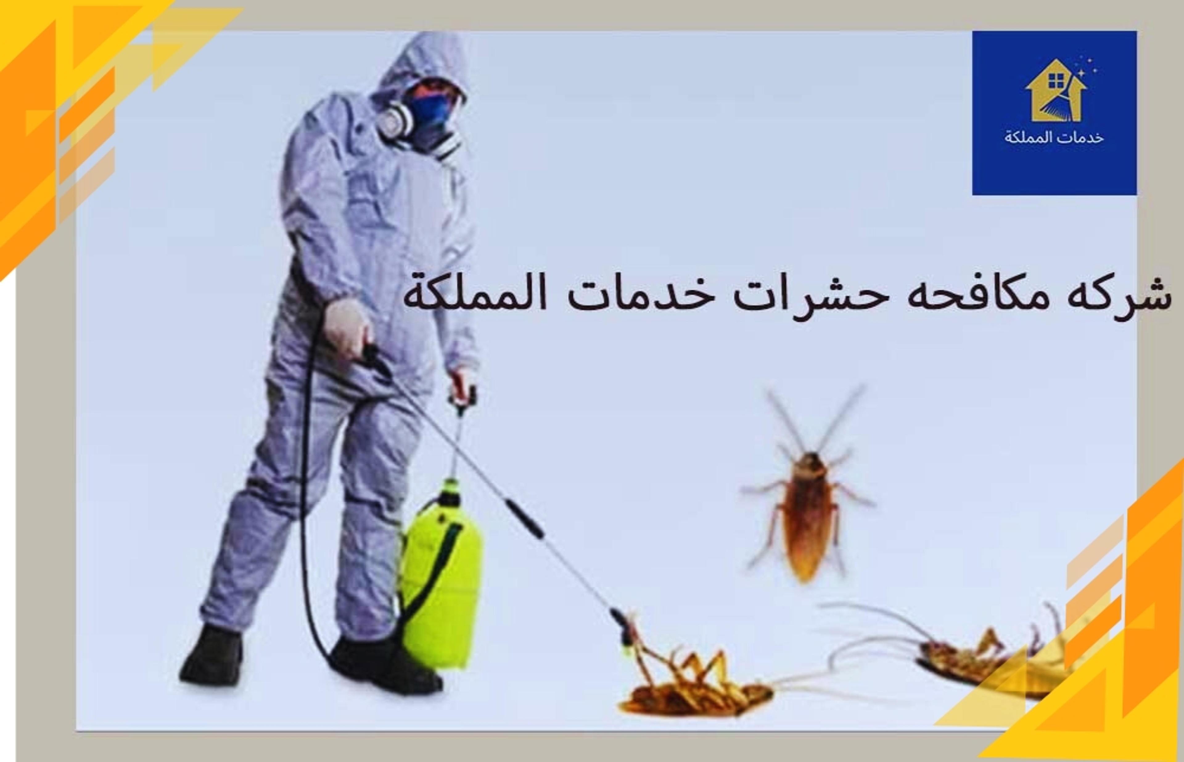 6c772964-d203-4220-8157-fb69678f40da.webp